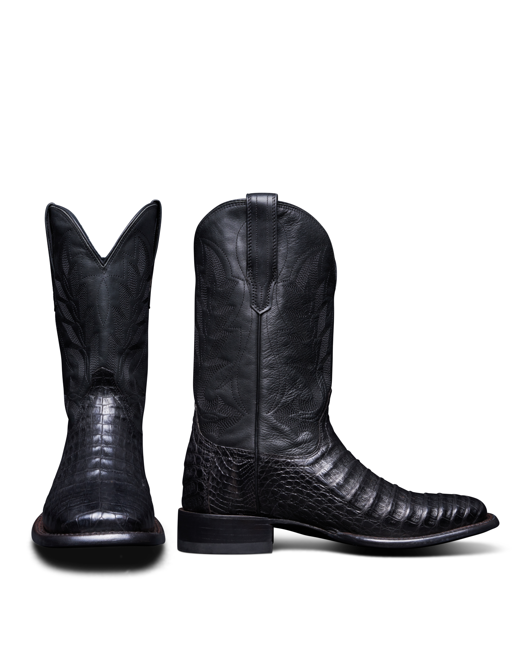 The William - Midnight Caiman
