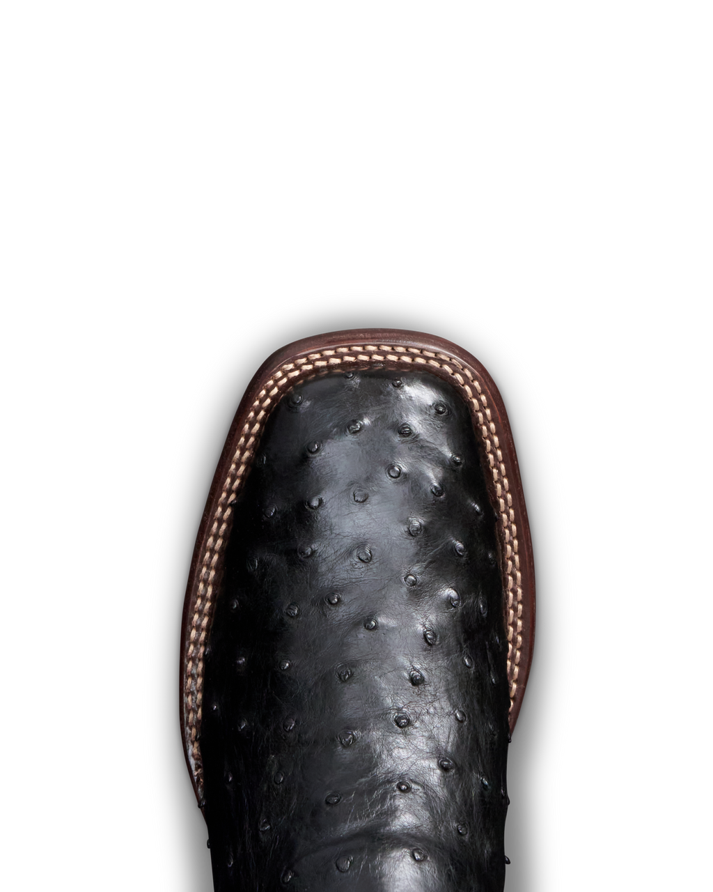 The Emmitt - Midnight Ostrich