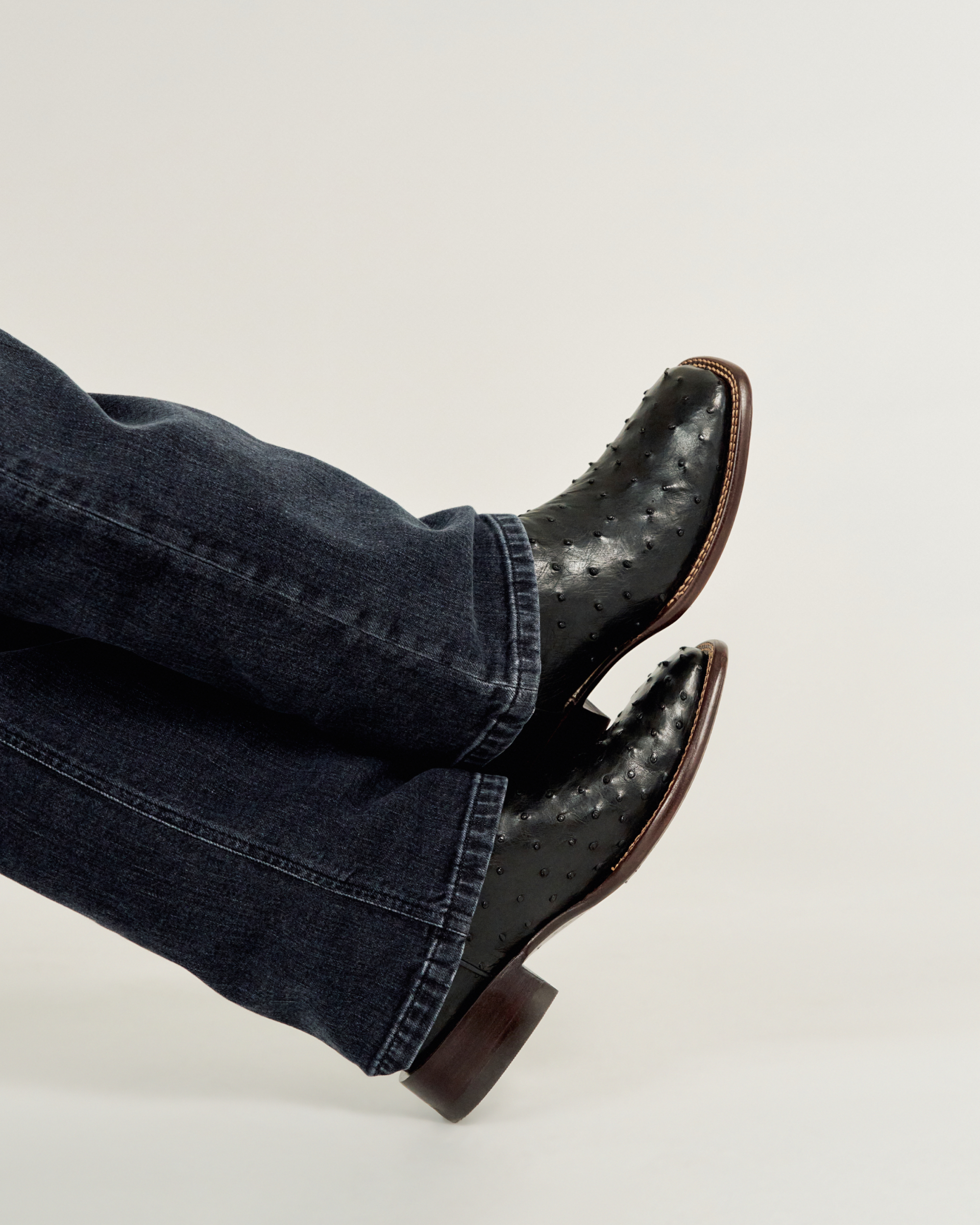 The Emmitt - Midnight Ostrich