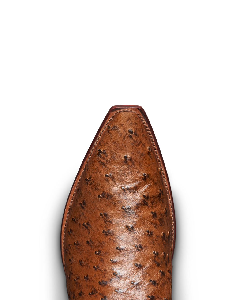 The Garrett - Peanut Ostrich