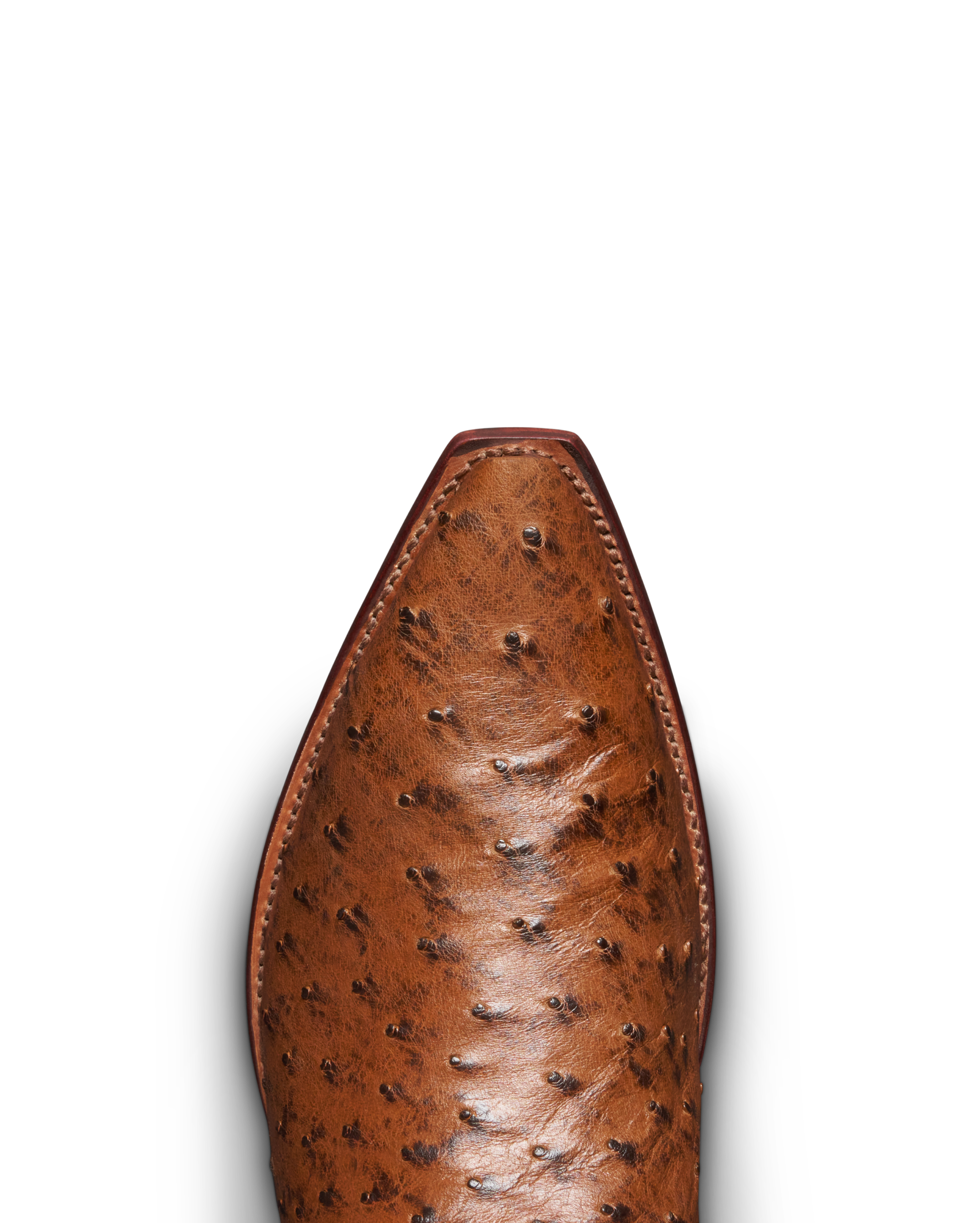 The Garrett - Peanut Ostrich