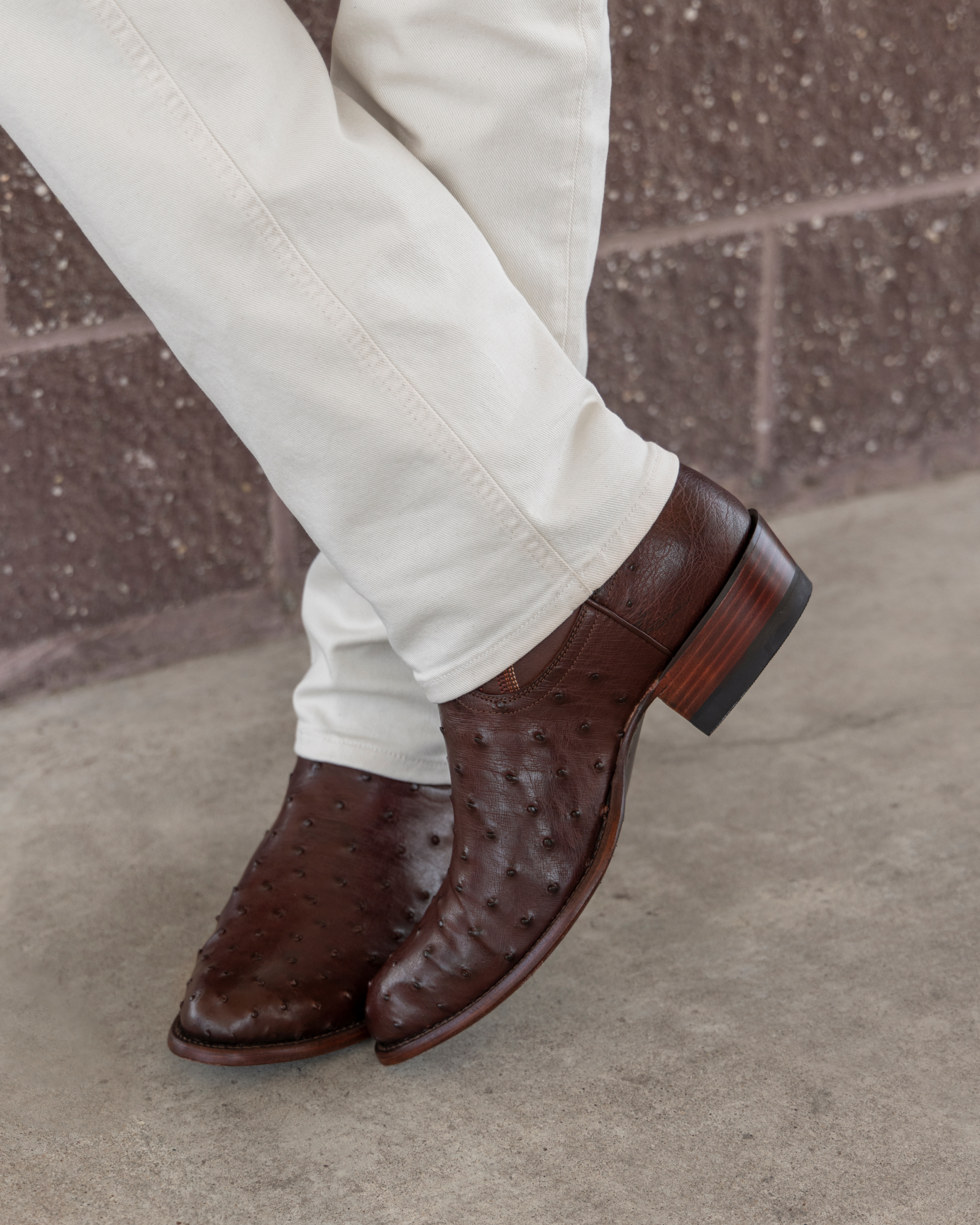 The Wyatt - Mahogany Ostrich