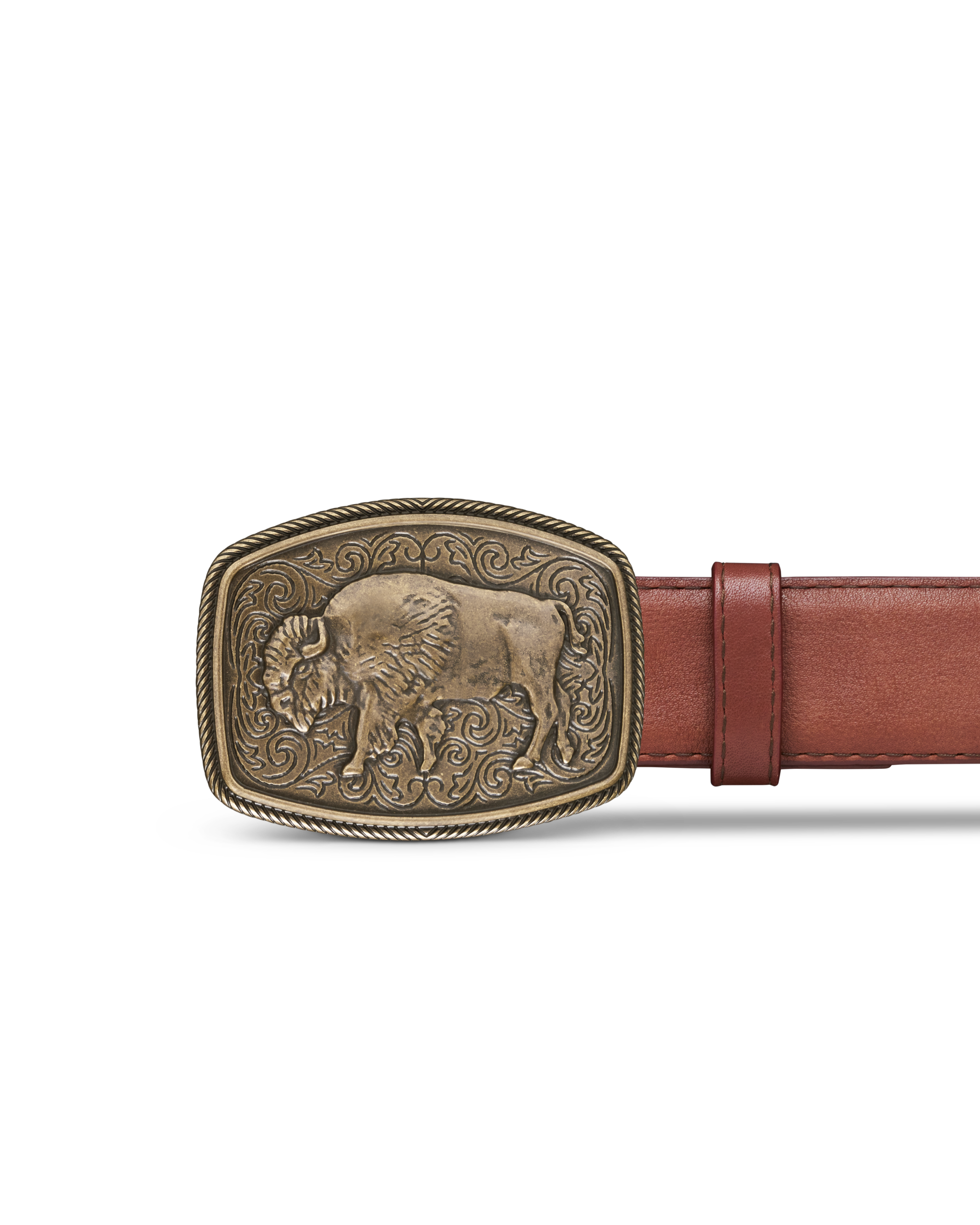 Bison Buckle - Antique Brass Metal
