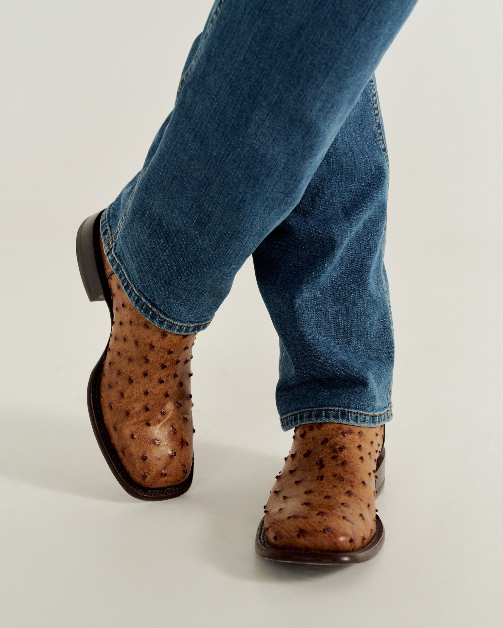 The Emmitt - Sunset Midnight Ostrich