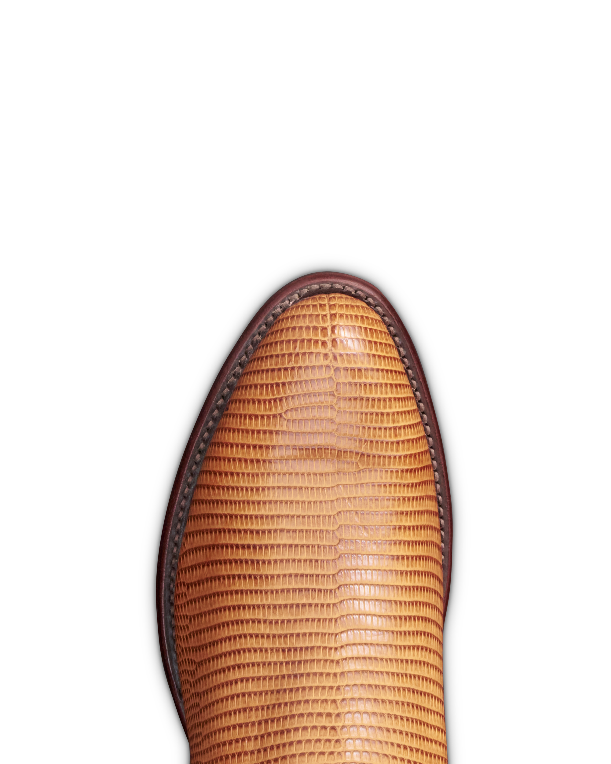 The Nolan - Peanut Lizard