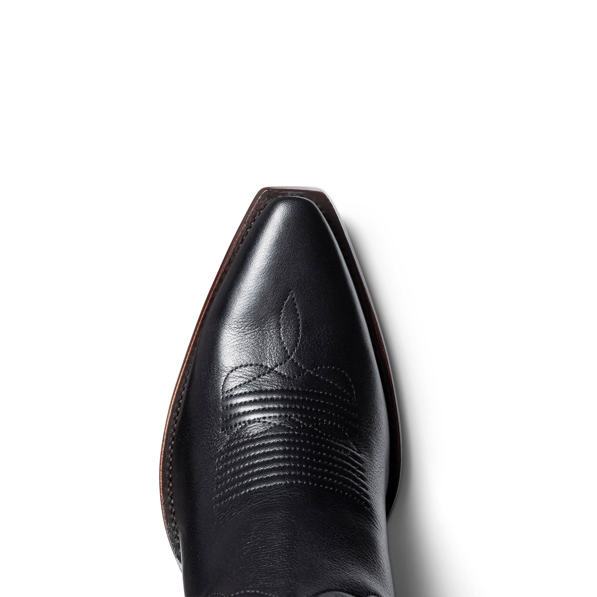 The Daisy - Midnight Cowhide