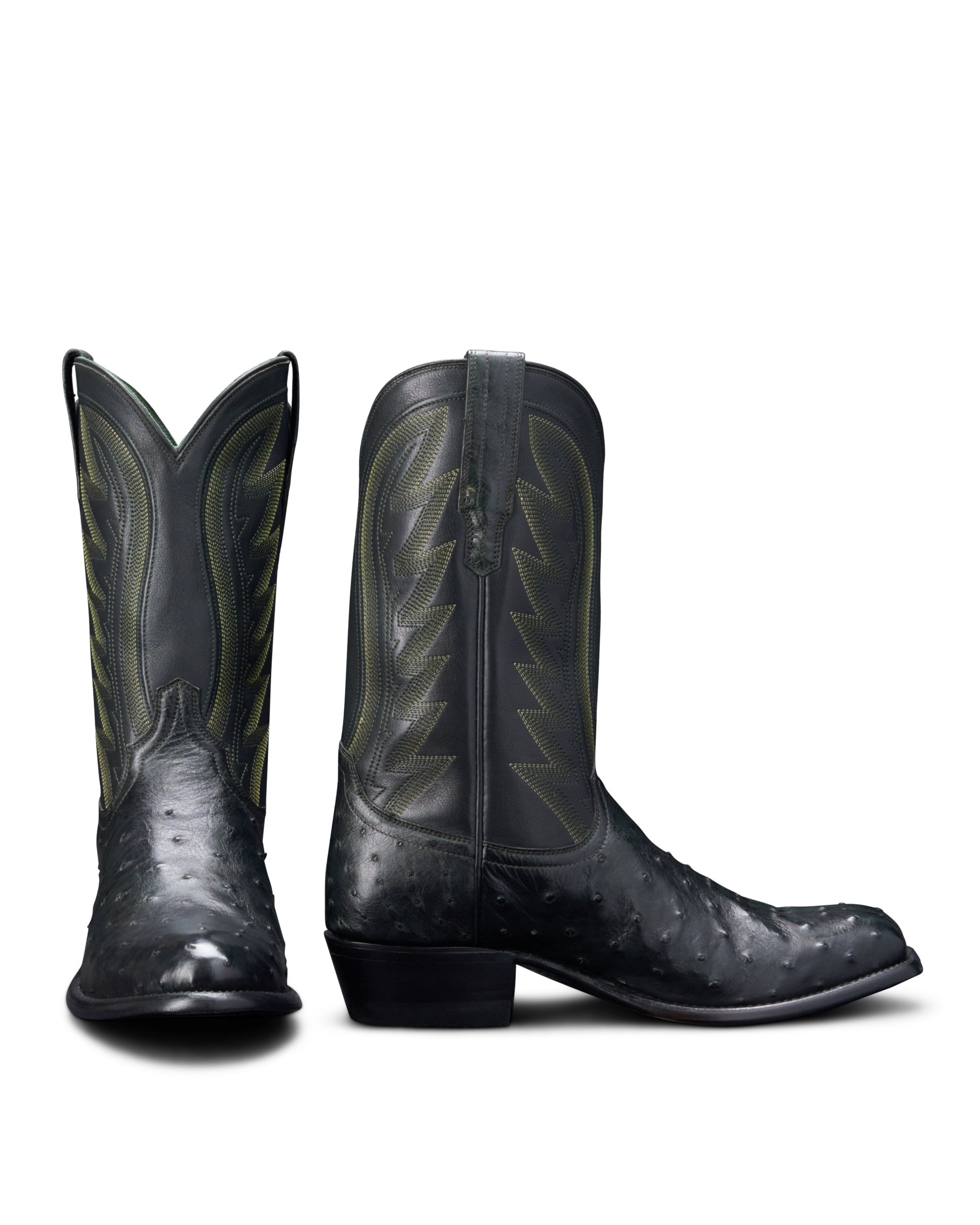 The Wyatt - Forest Black Ostrich