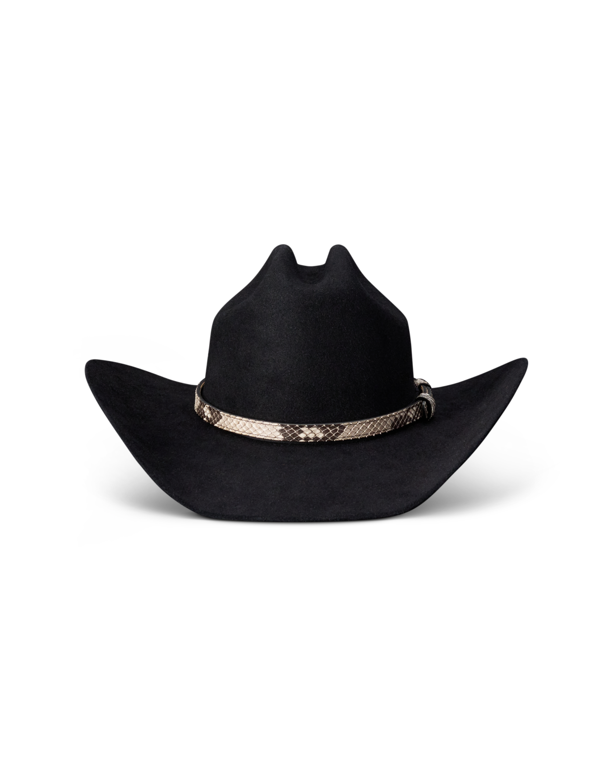 Hat Band - Black Bone Python
