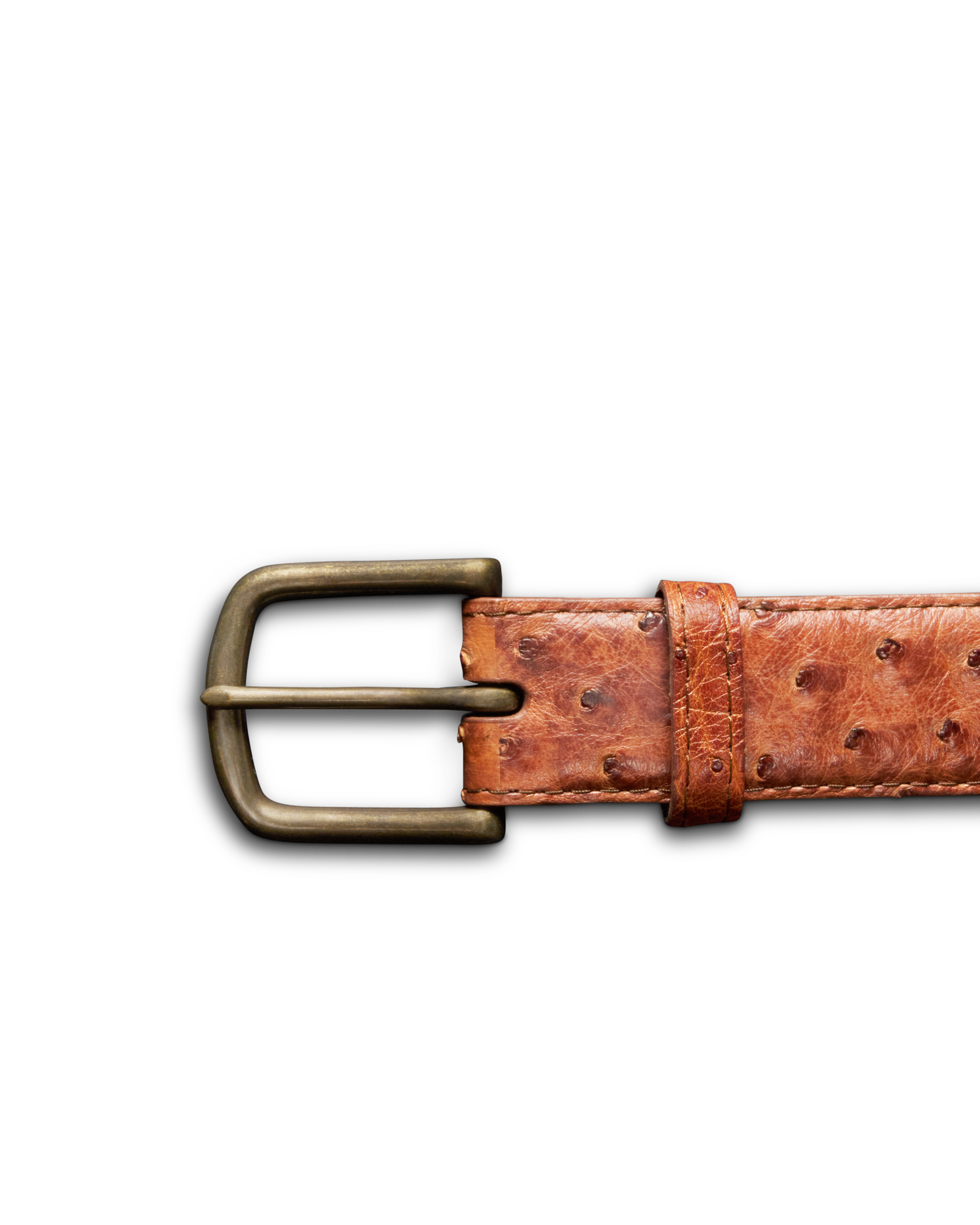 Men's Ostrich Belt - Russet Ostrich
