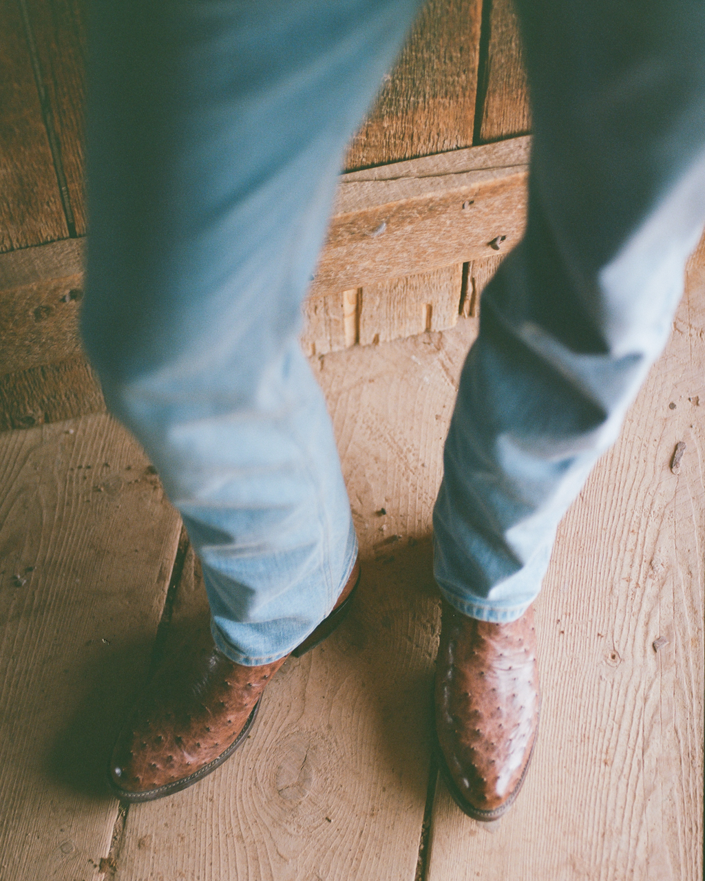 The Wyatt - Russet Ostrich