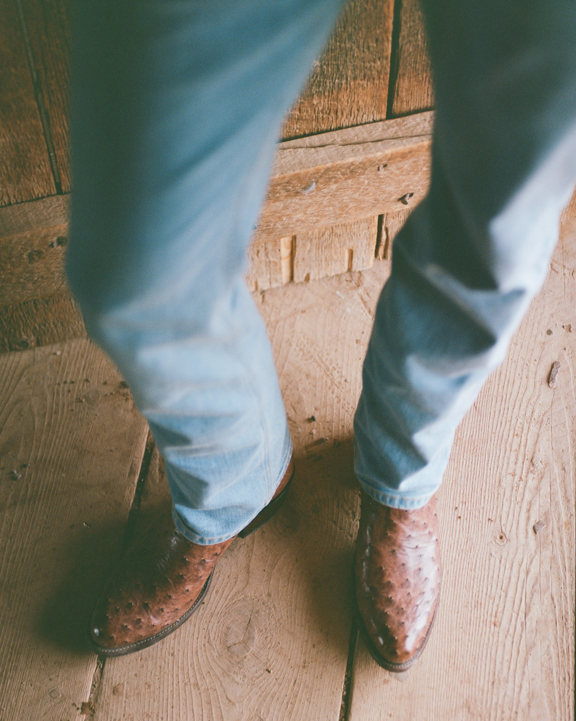 The Wyatt - Russet Ostrich