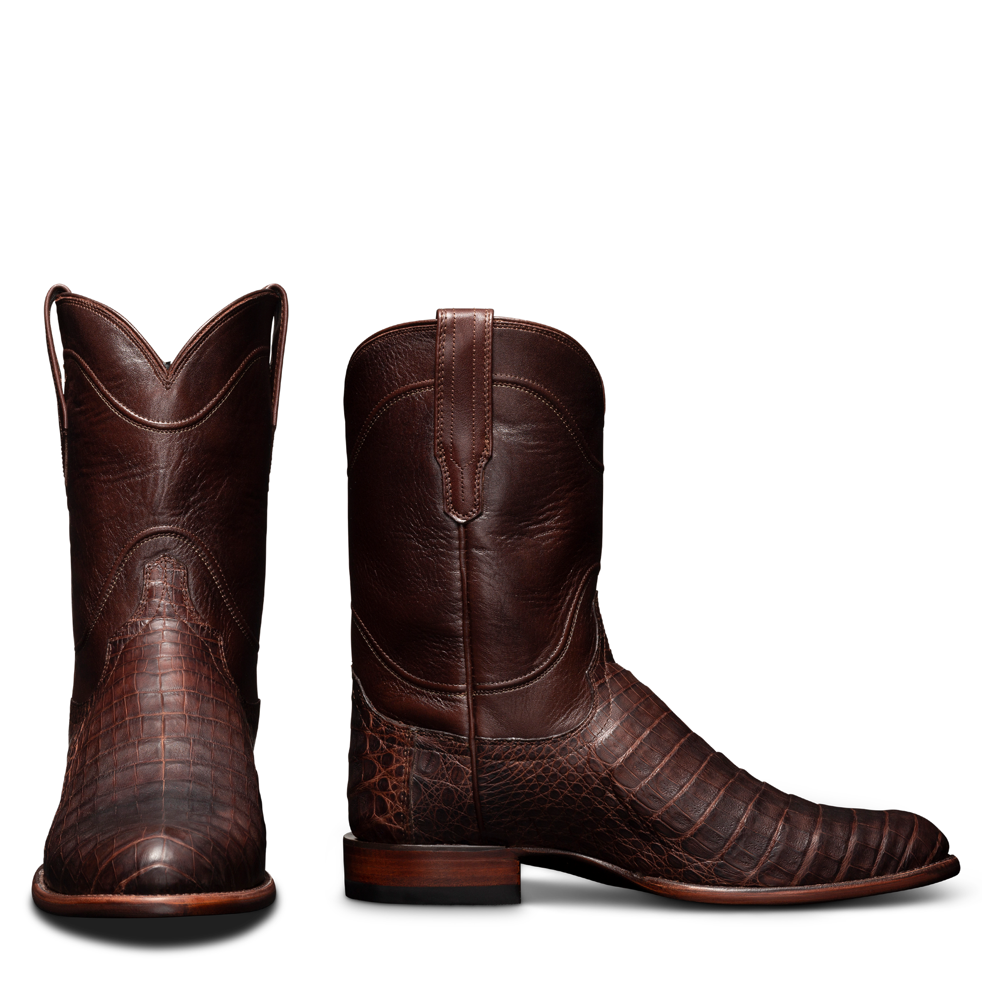 The Cole - Mahogany Caiman