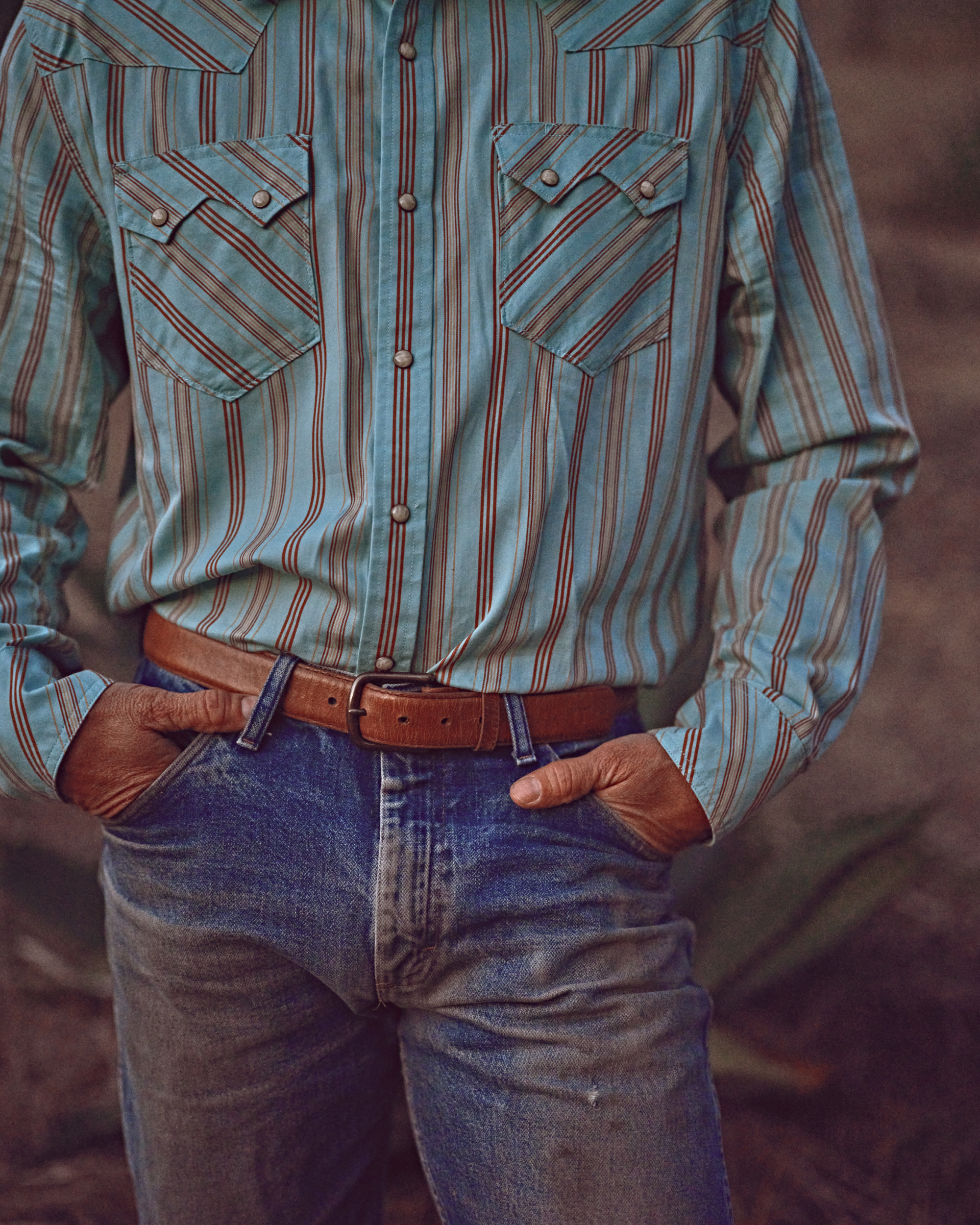Men's Vintage Weight Sawtooth Cotton Pearl Snap - Blue Stripe Cotton