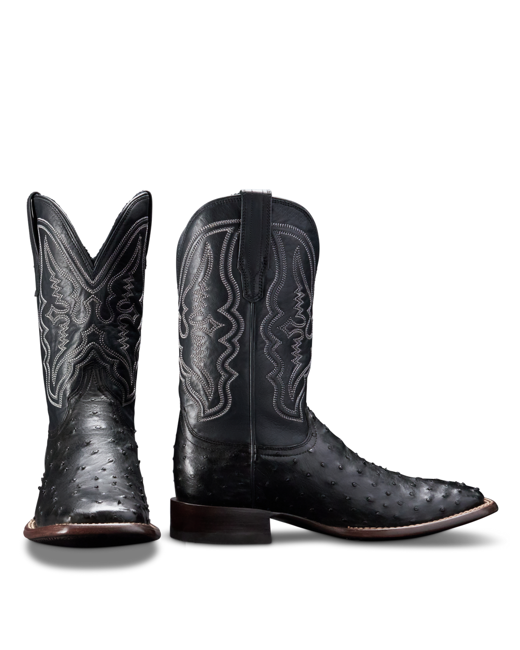 The Emmitt - Midnight Ostrich