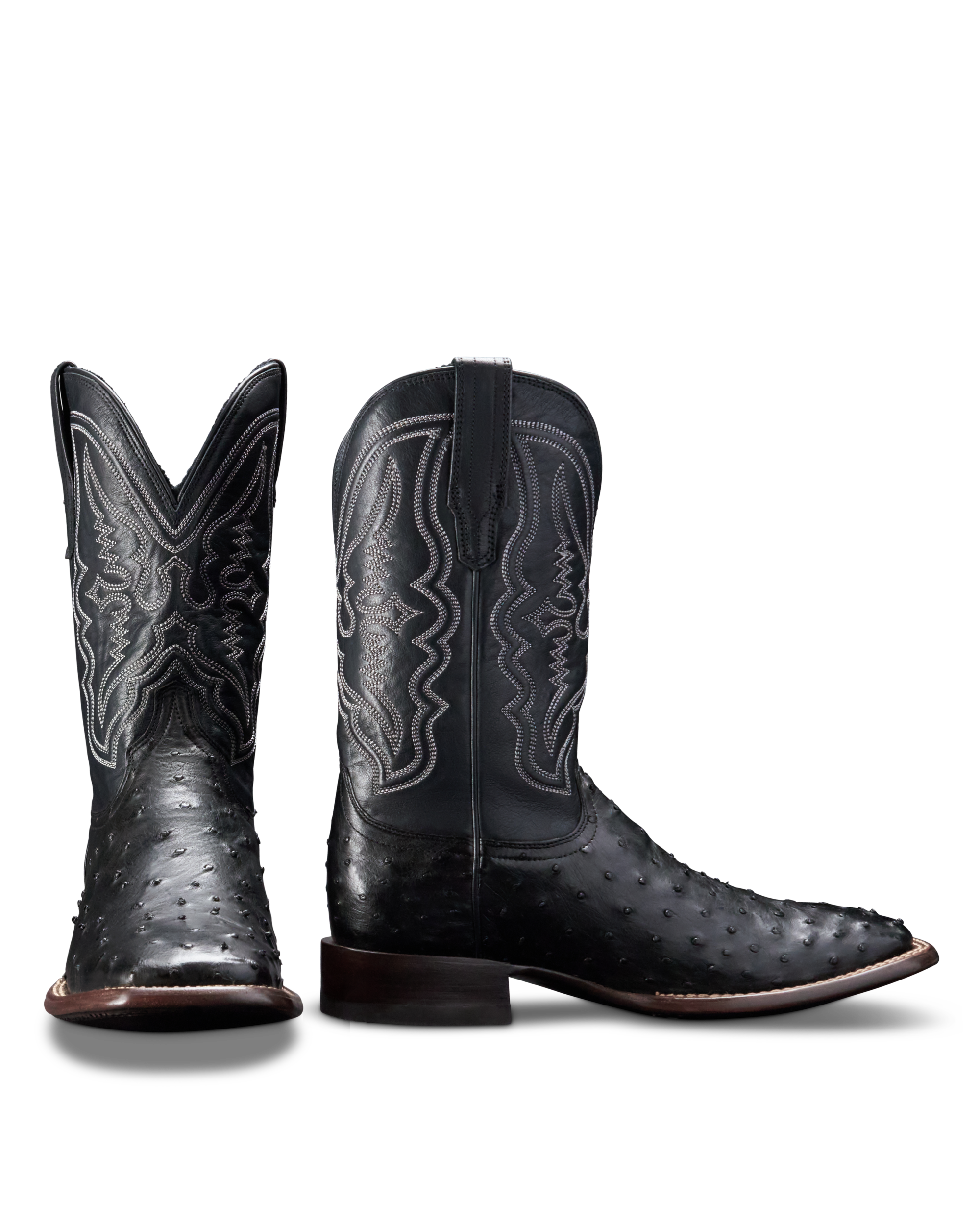 The Emmitt - Midnight Ostrich