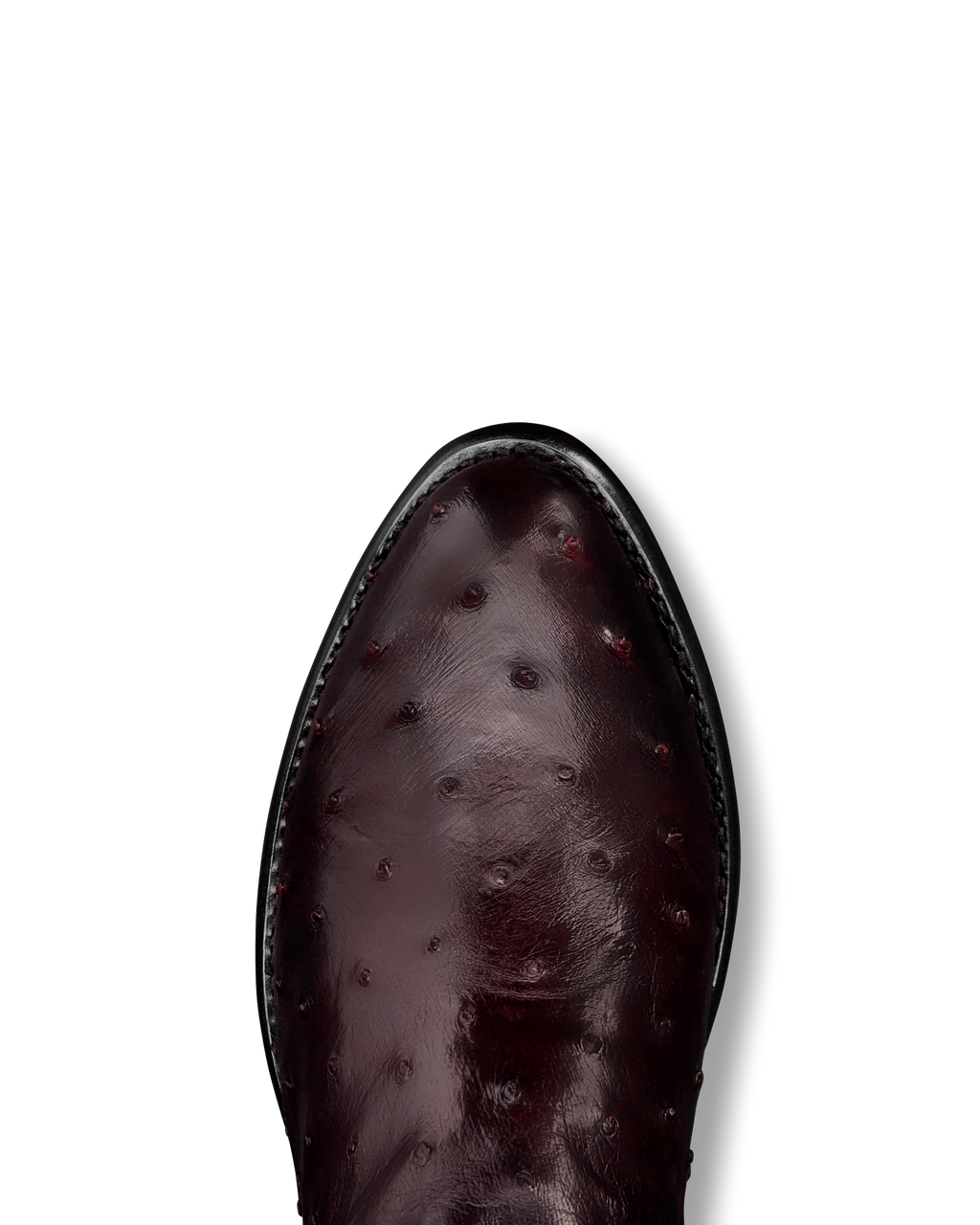 The Wyatt - Black Cherry Ostrich