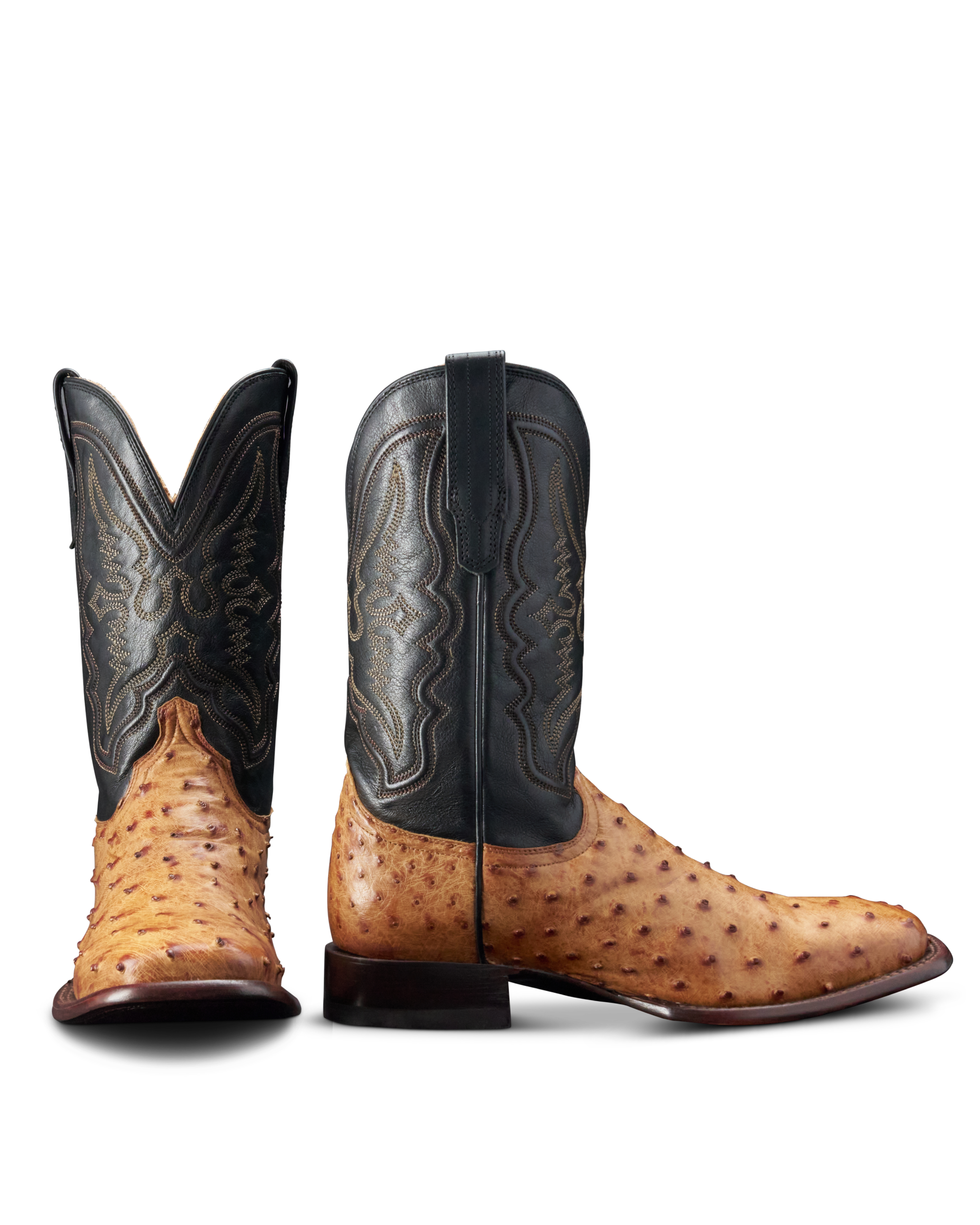 The Emmitt - Sunset Midnight Ostrich