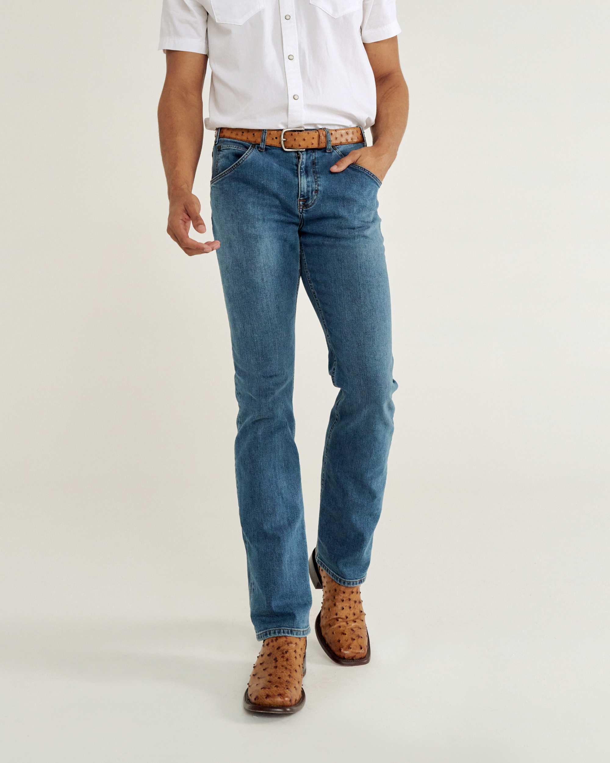 The Emmitt - Sunset Midnight Ostrich