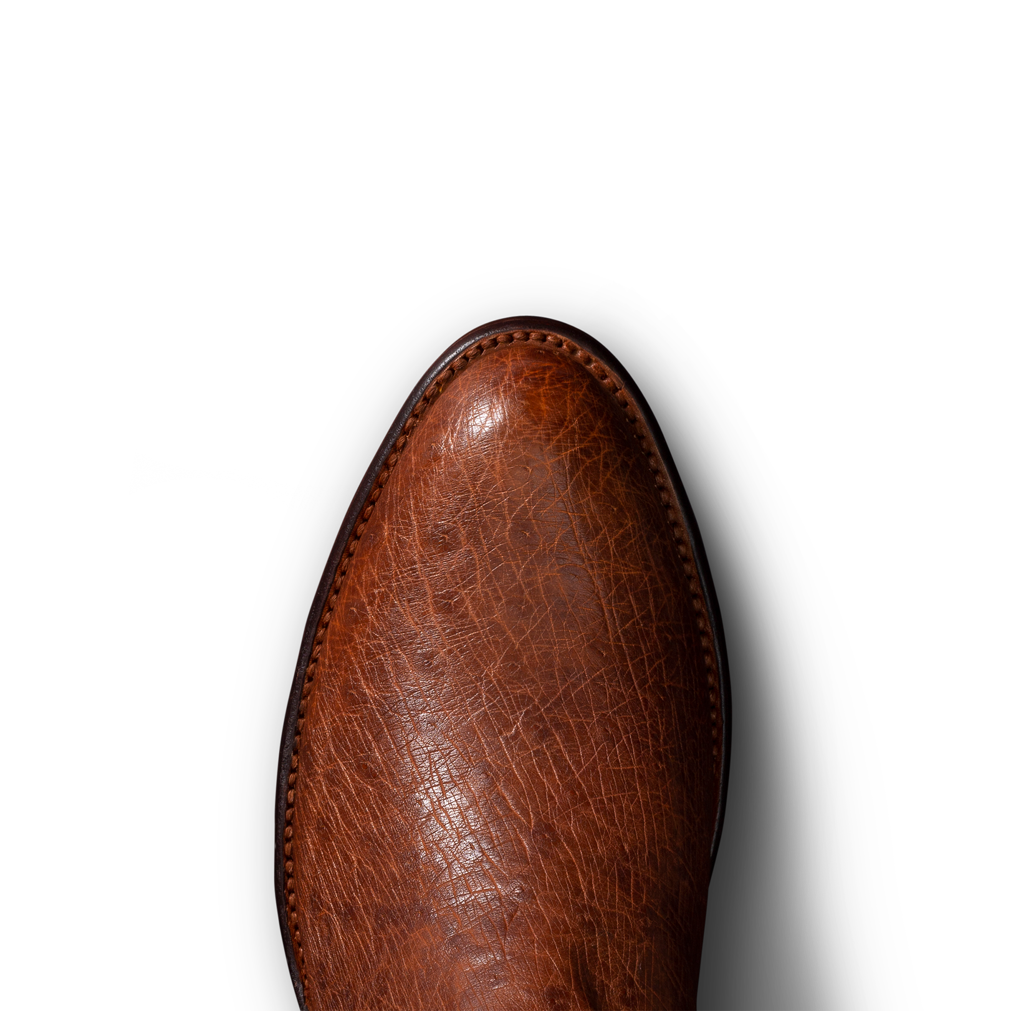 The Weston - Russet Smooth Ostrich