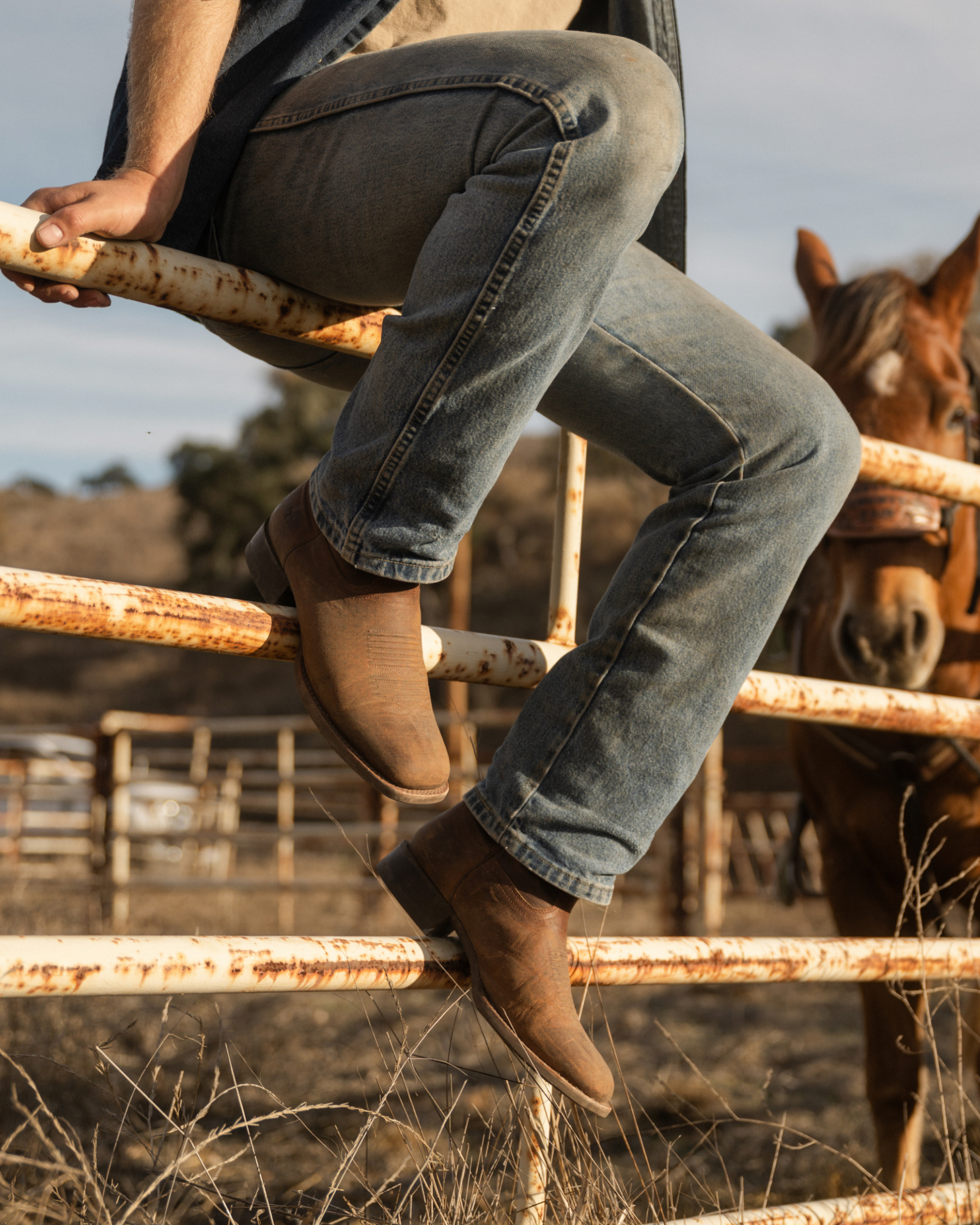 The Dusty - Cigar Cowhide