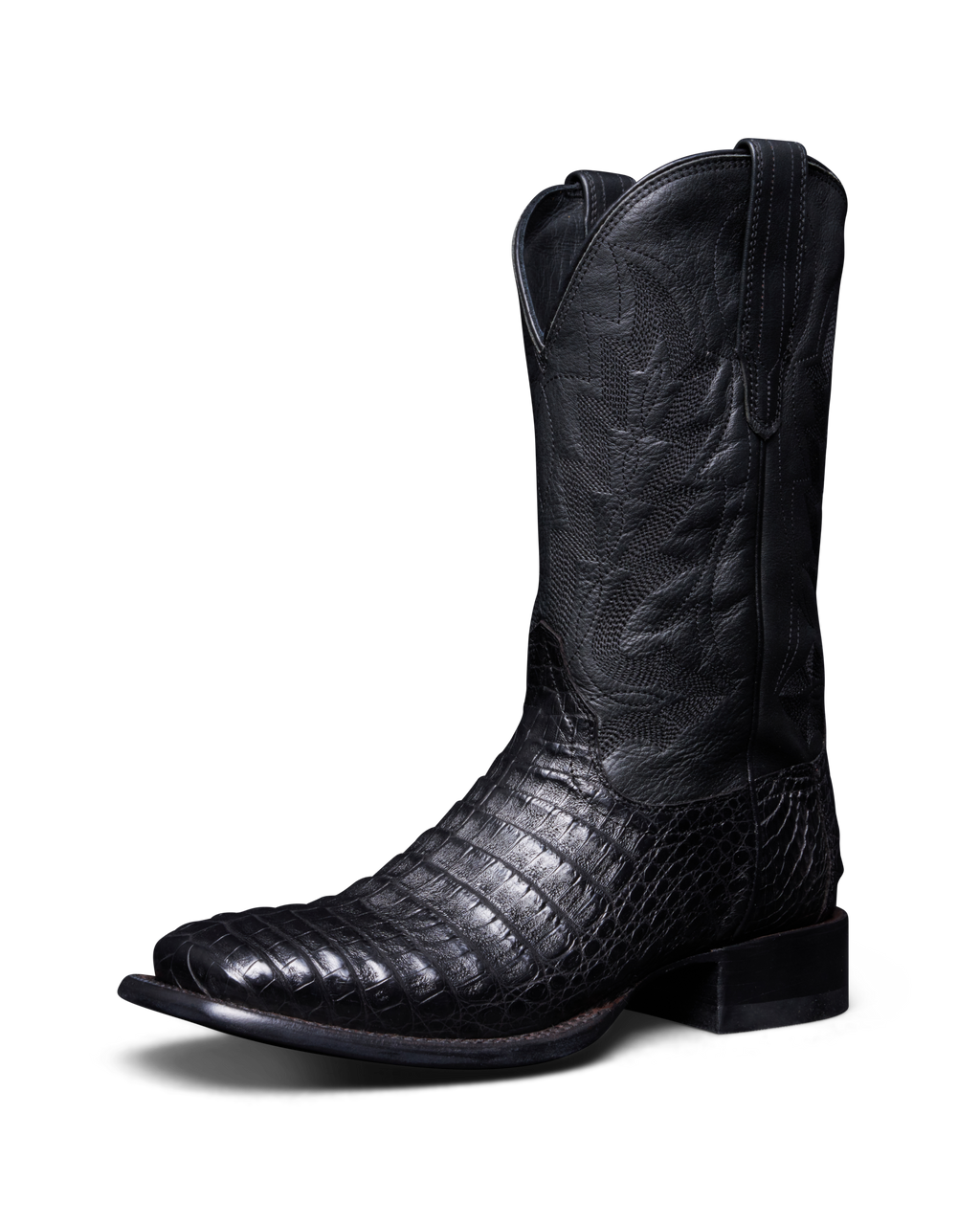 The William - Midnight Caiman