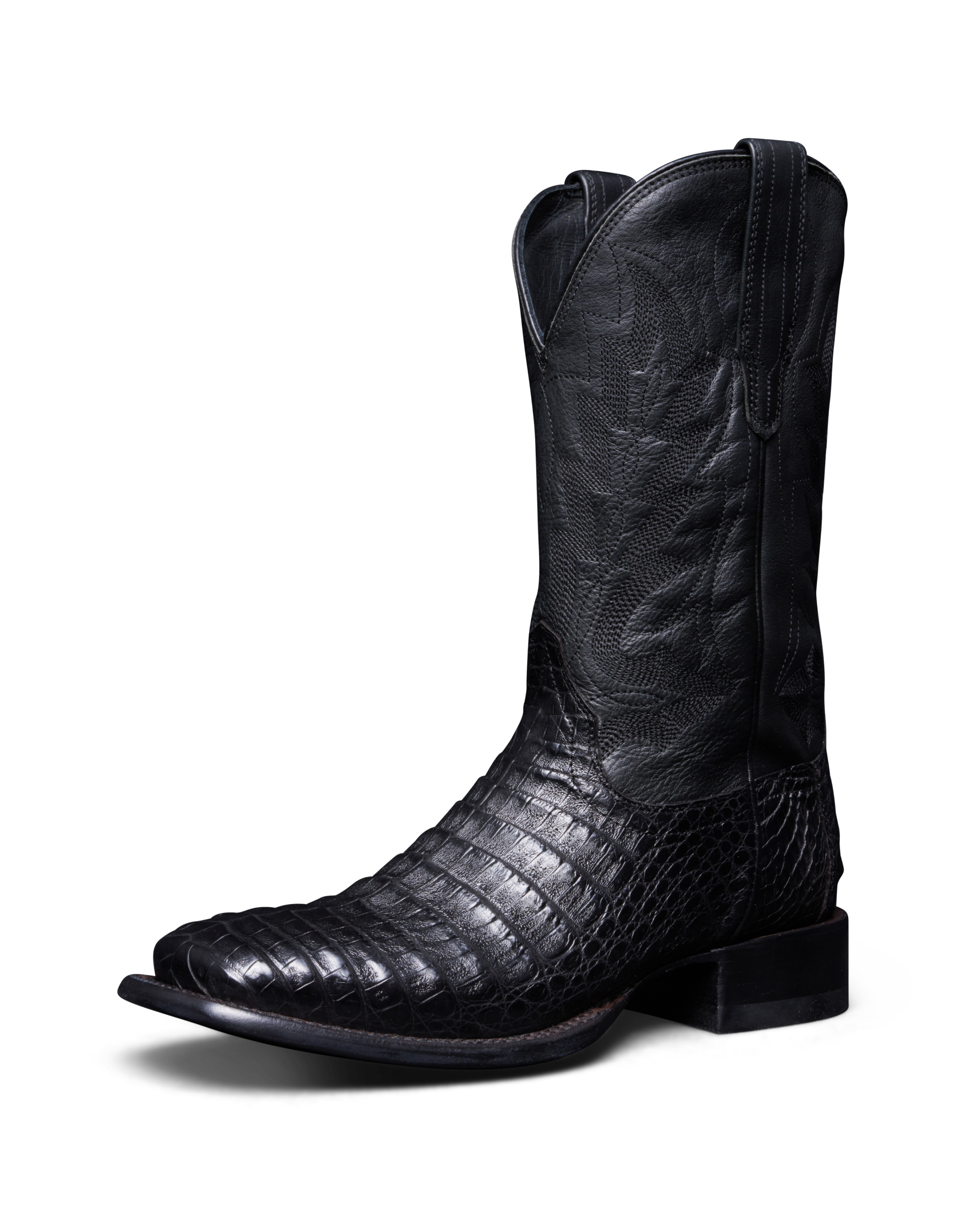 The William - Midnight Caiman