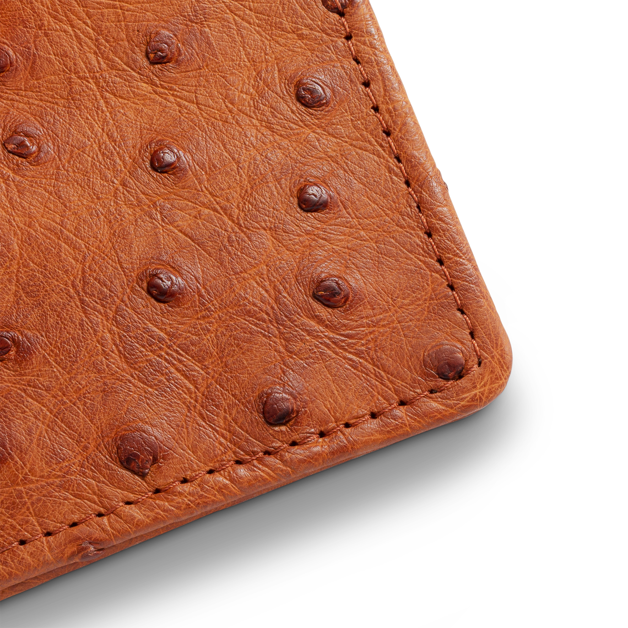 Ostrich Bifold - Pecan Ostrich