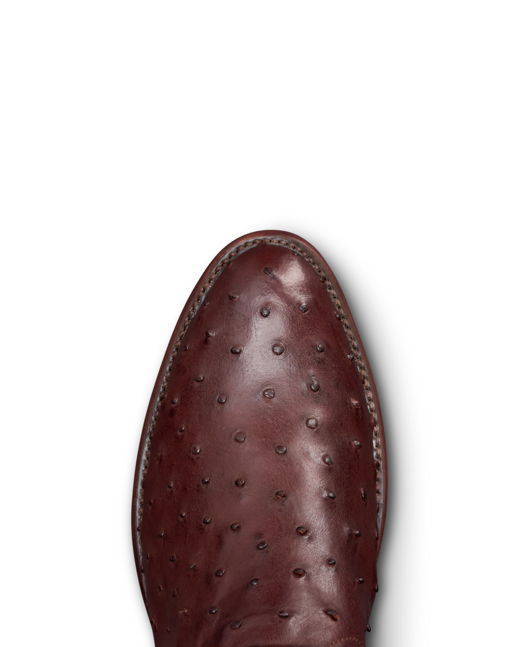 The Wyatt - Mahogany Ostrich