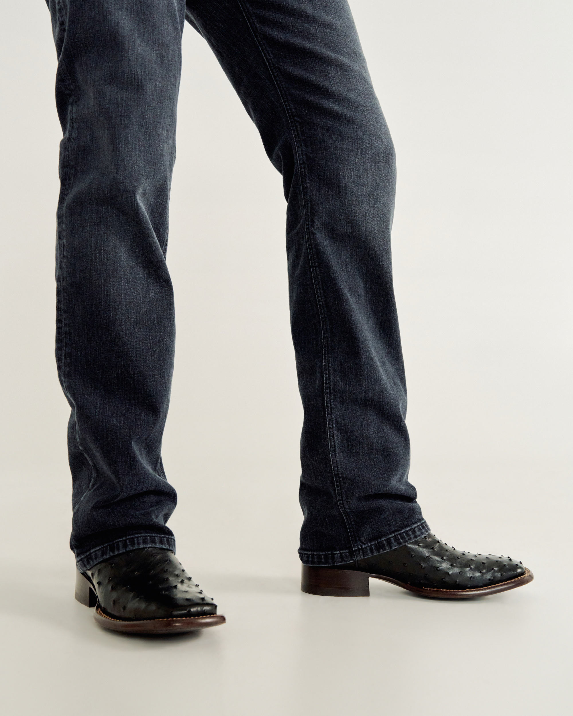The Emmitt - Midnight Ostrich