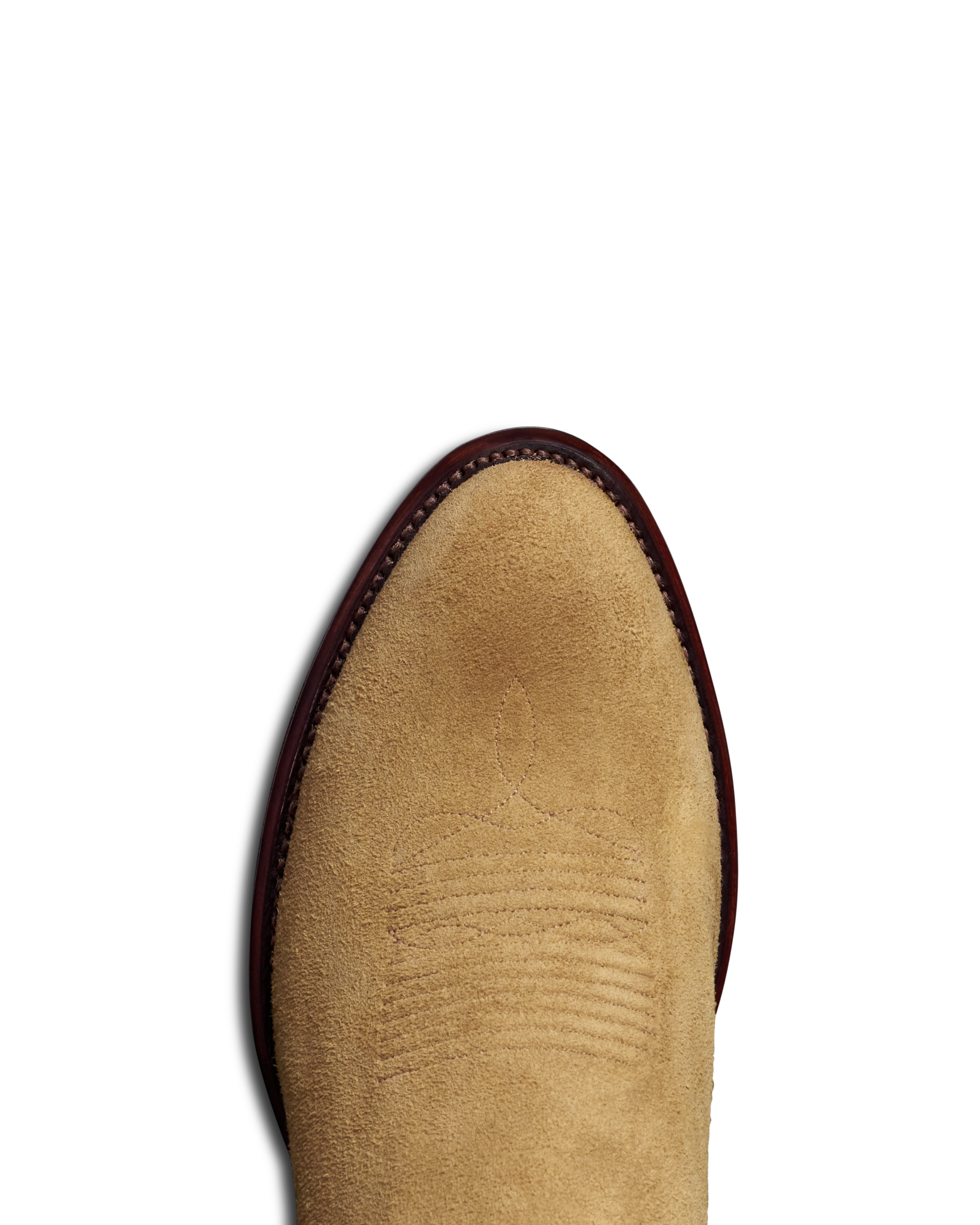 The Johnny - Camel Roughout