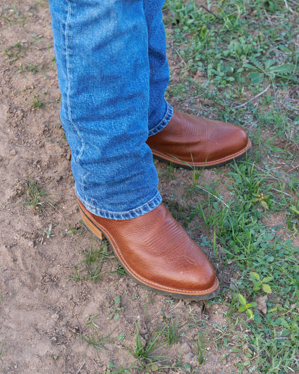 The Bandera - Sedona Bison