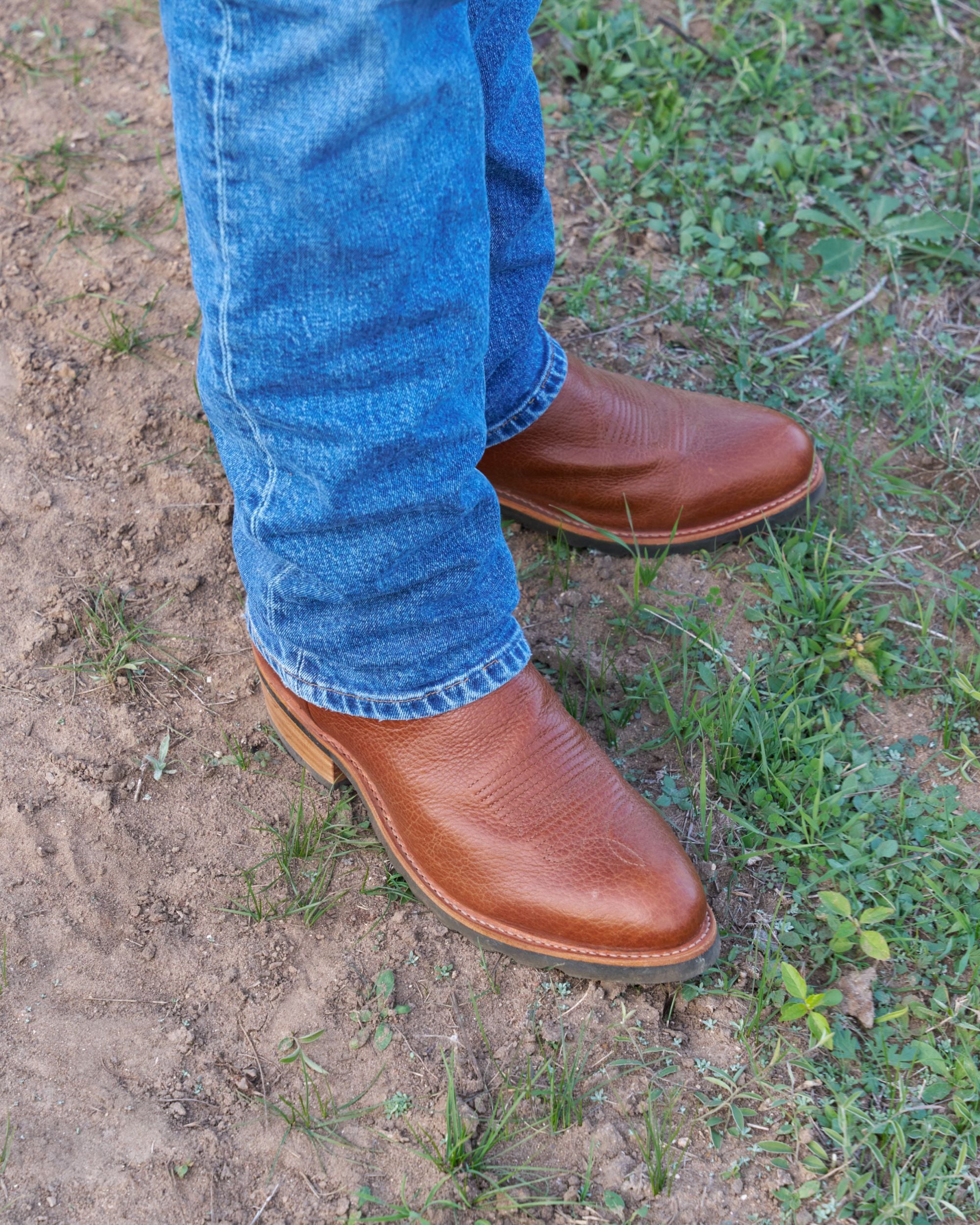 The Bandera - Sedona Bison
