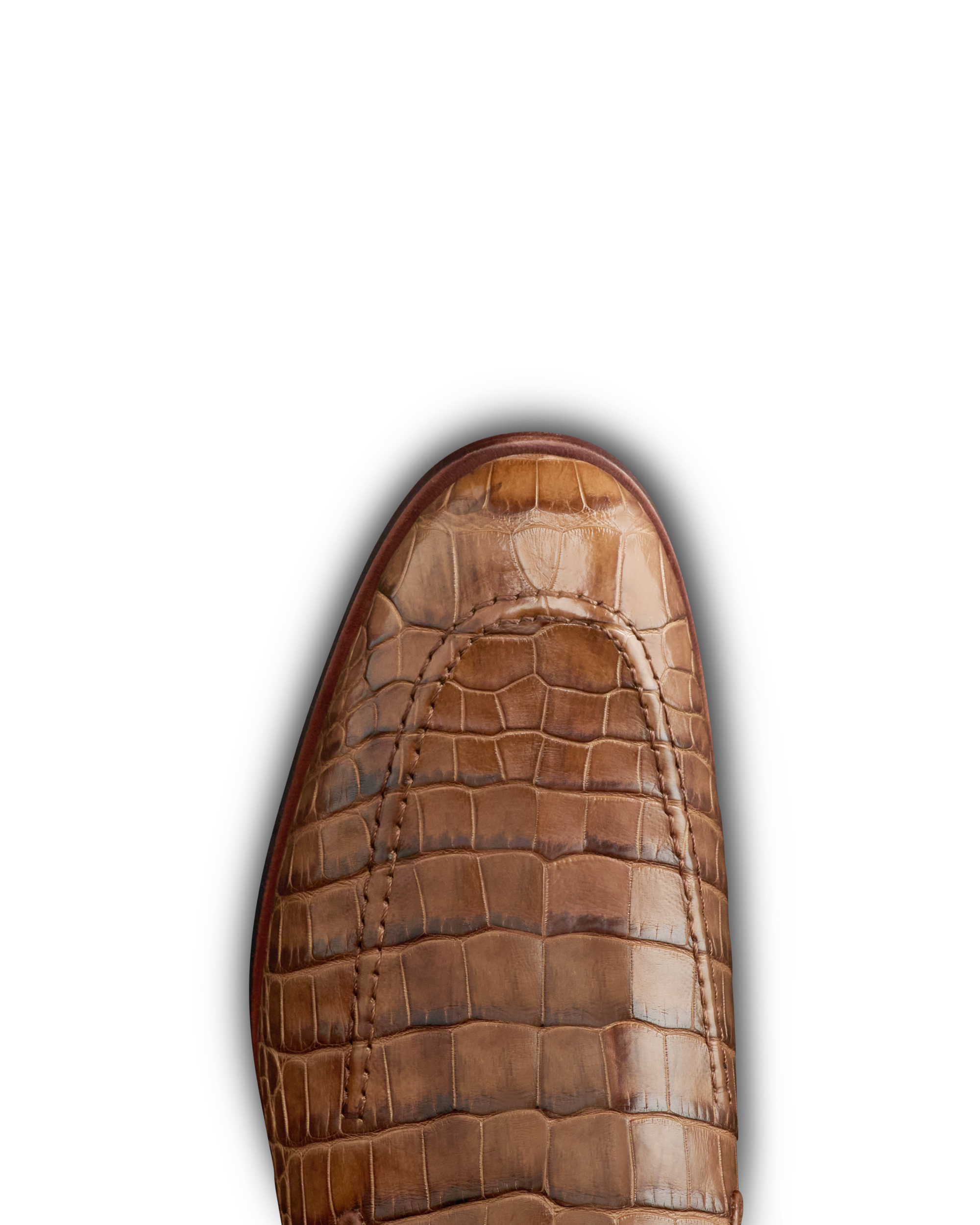 The Bennett - Saddle Alligator