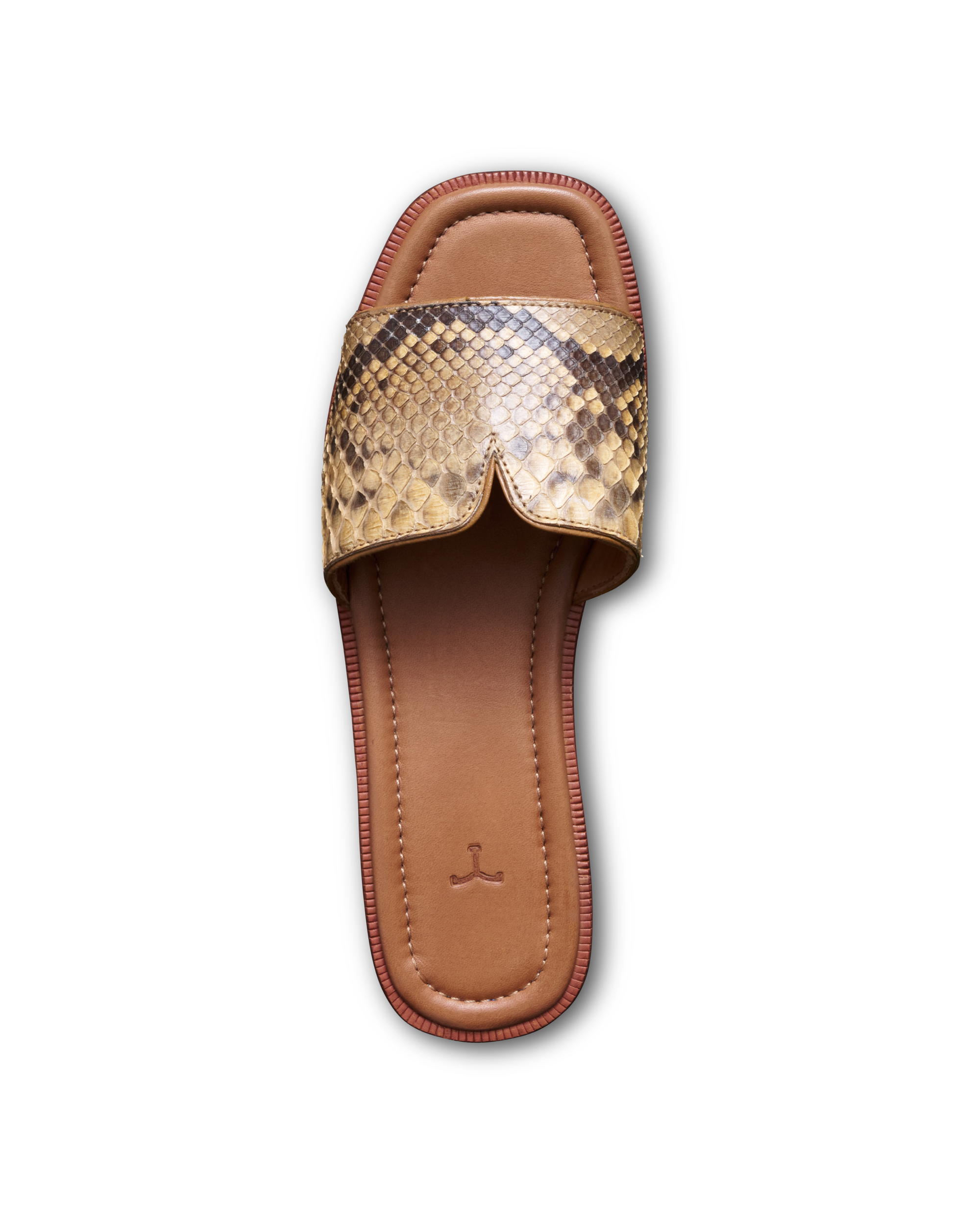 The Carmen - Black Sand Python