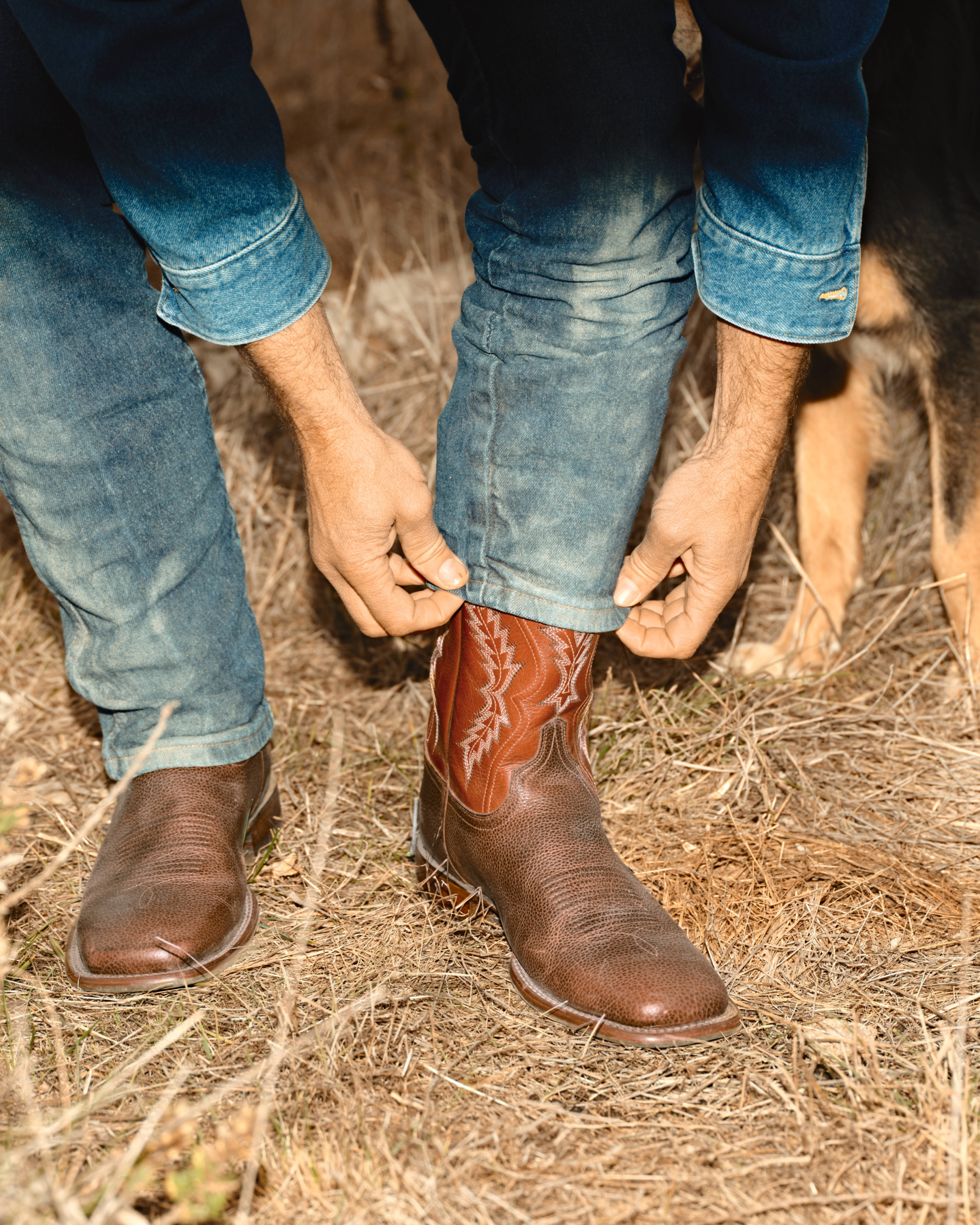 The Doc Frontier - Dark Chestnut Rust Orange Bison