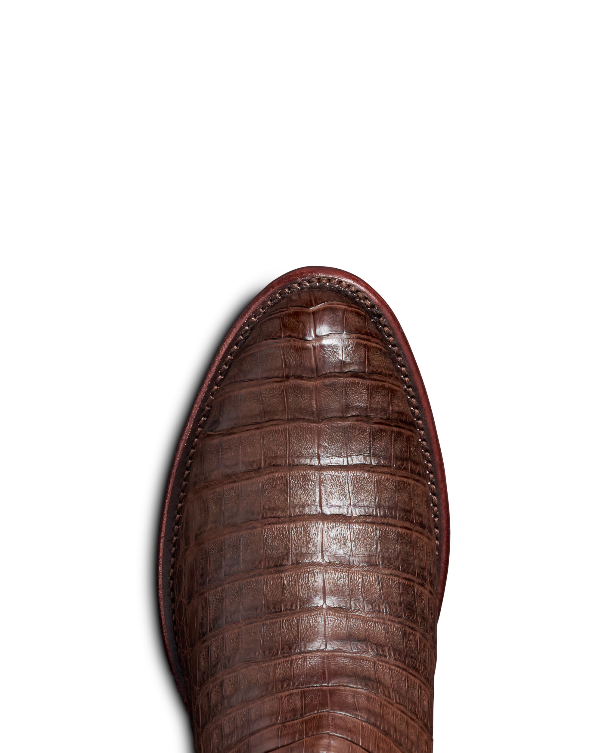 The Dillon - Oak Caiman