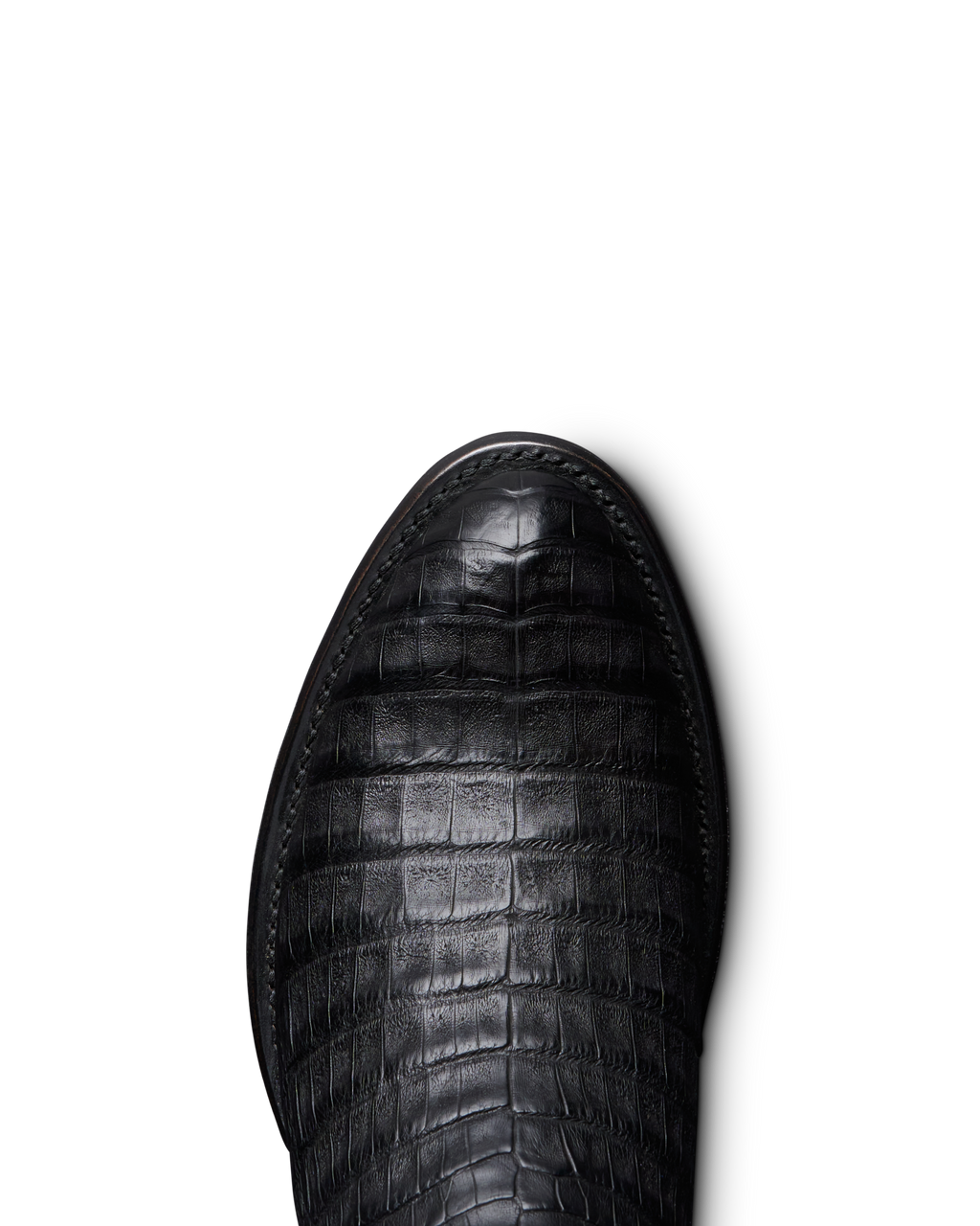 The Dillon - Midnight Caiman