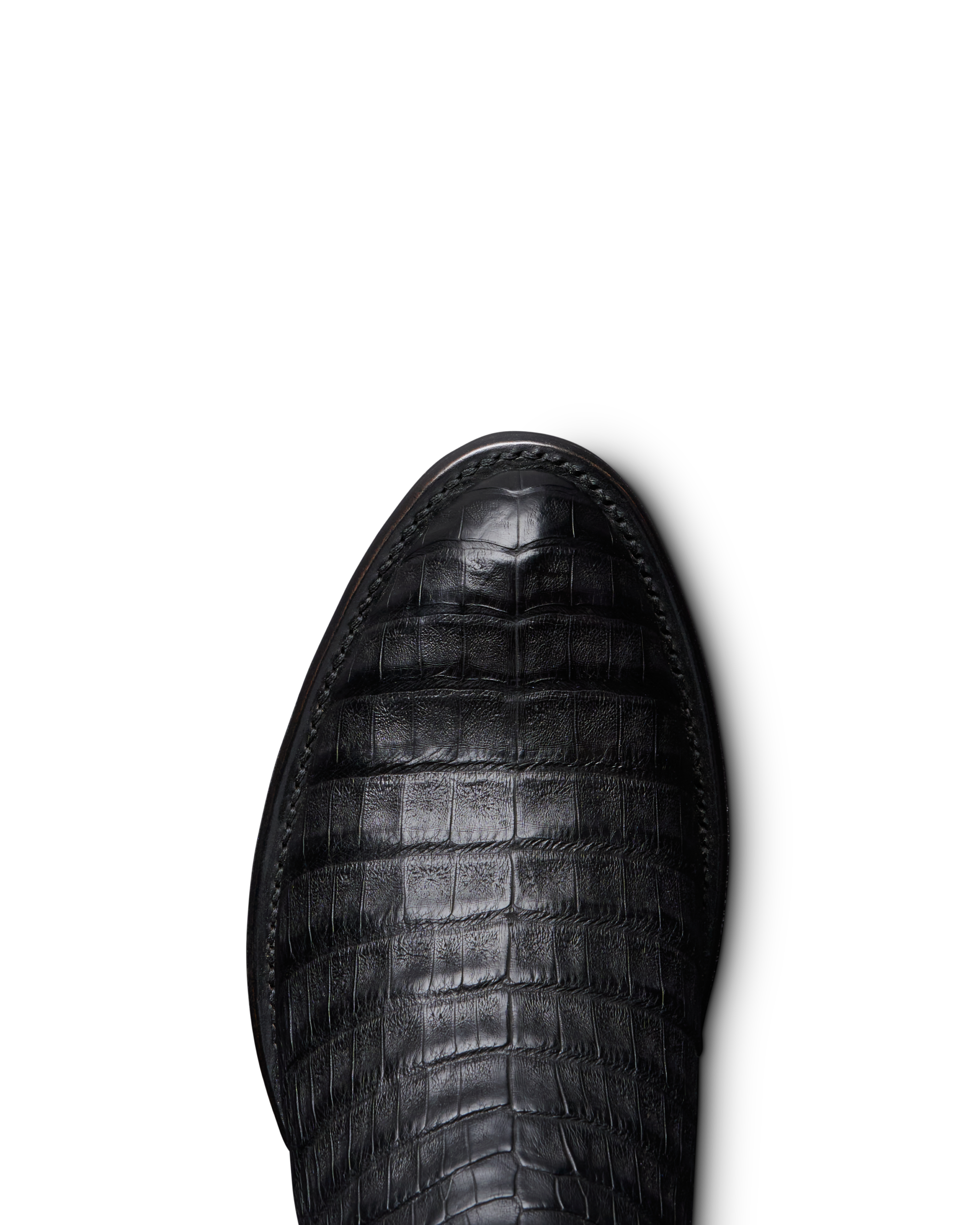 The Dillon - Midnight Caiman