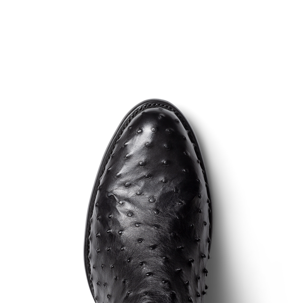 The Dean - Onyx Ostrich