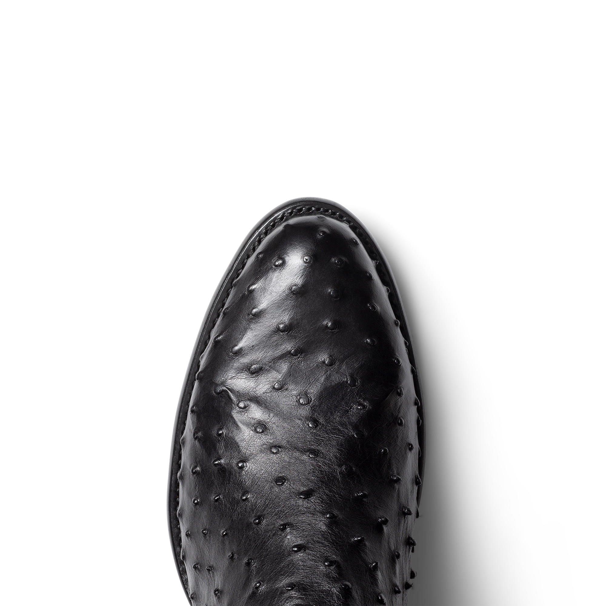 The Dean - Onyx Ostrich
