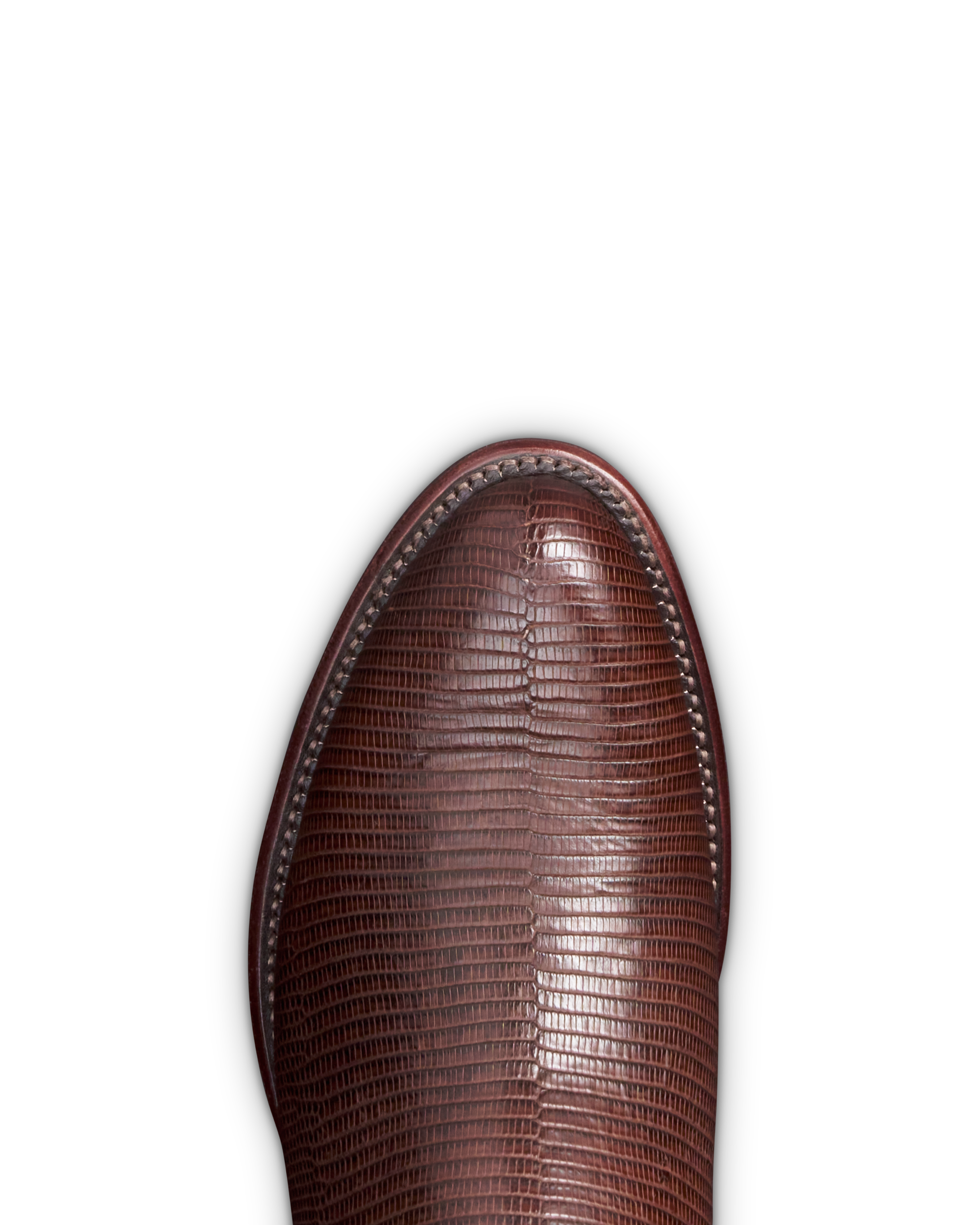 The Nolan - Hazelnut Lizard