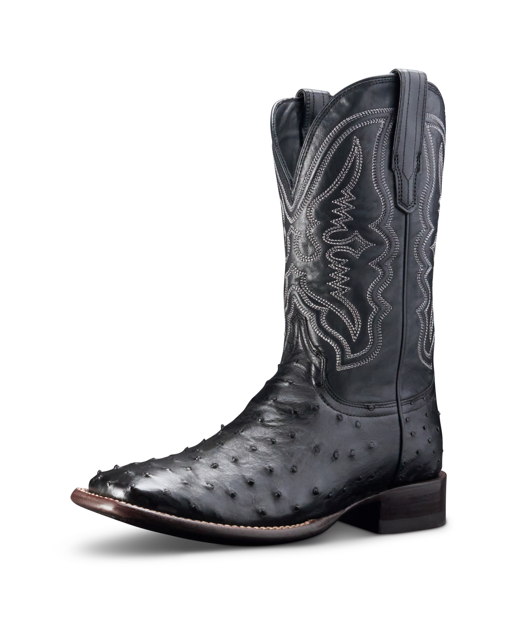 The Emmitt - Midnight Ostrich
