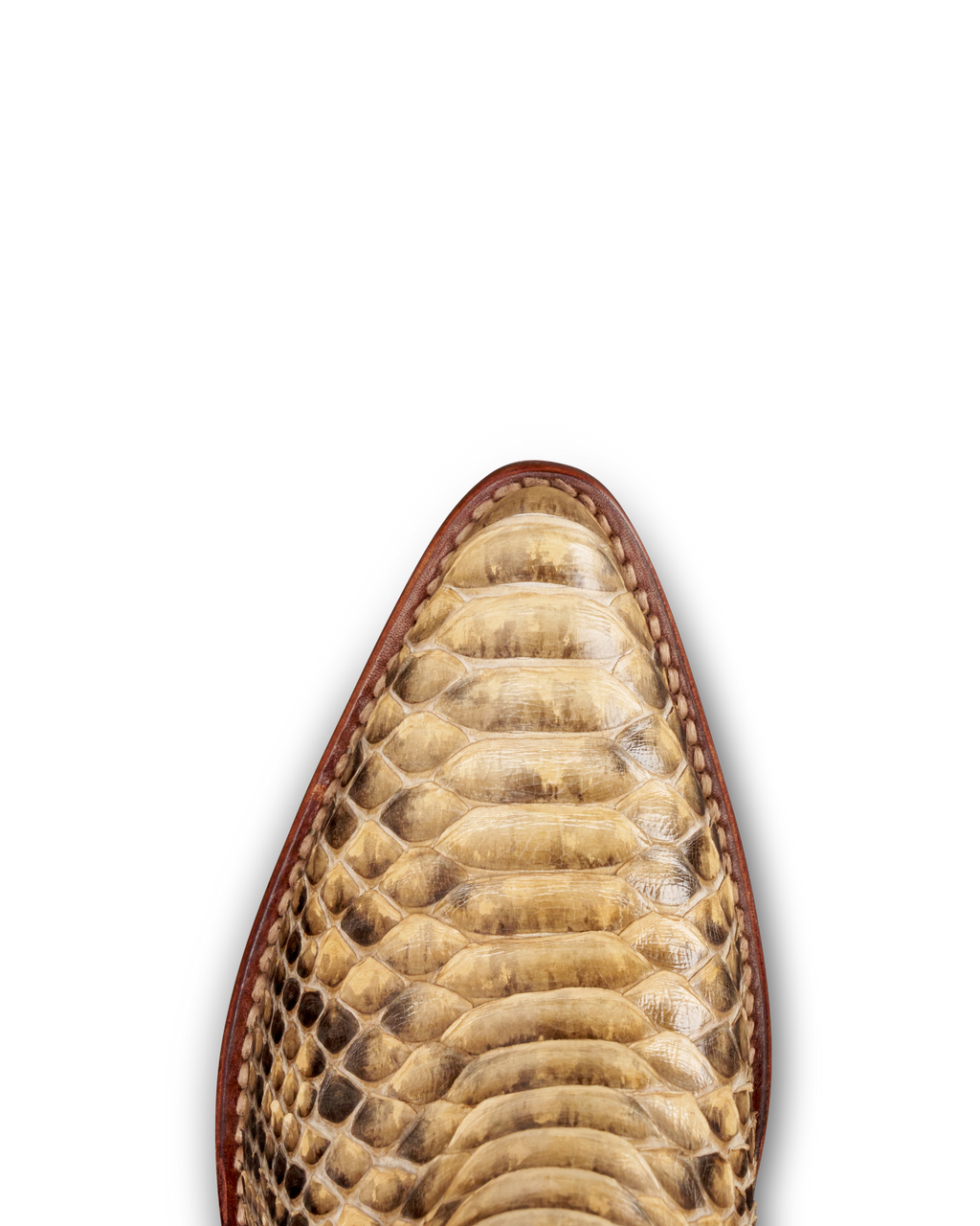 The Cassie - Natural Python