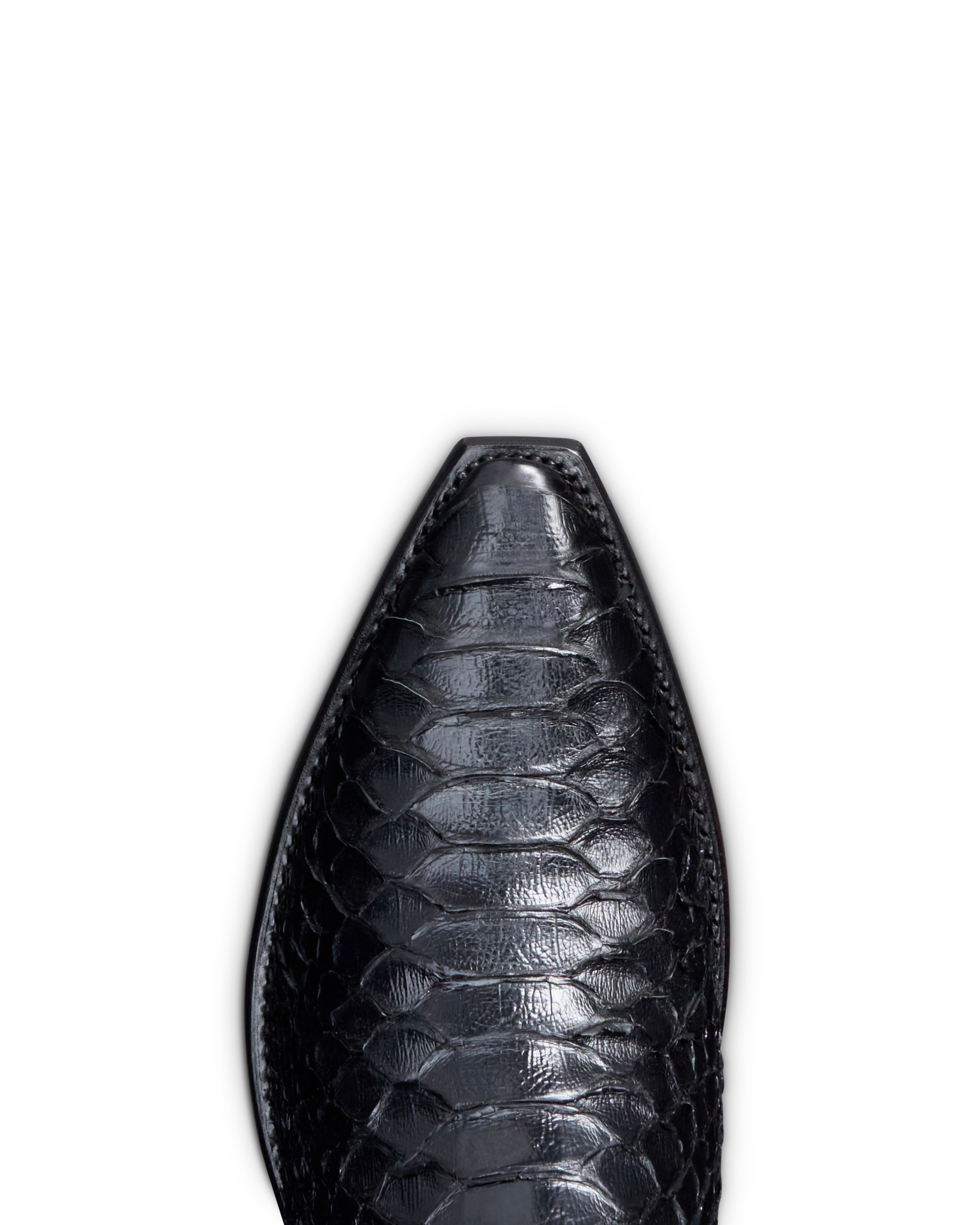 The Blaze - Midnight Python