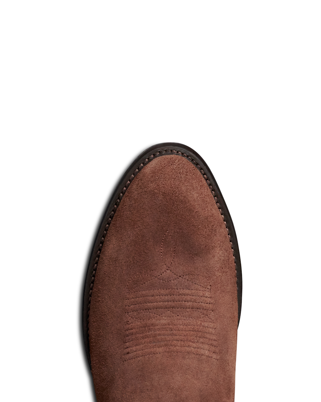 The Johnny - Earth Roughout