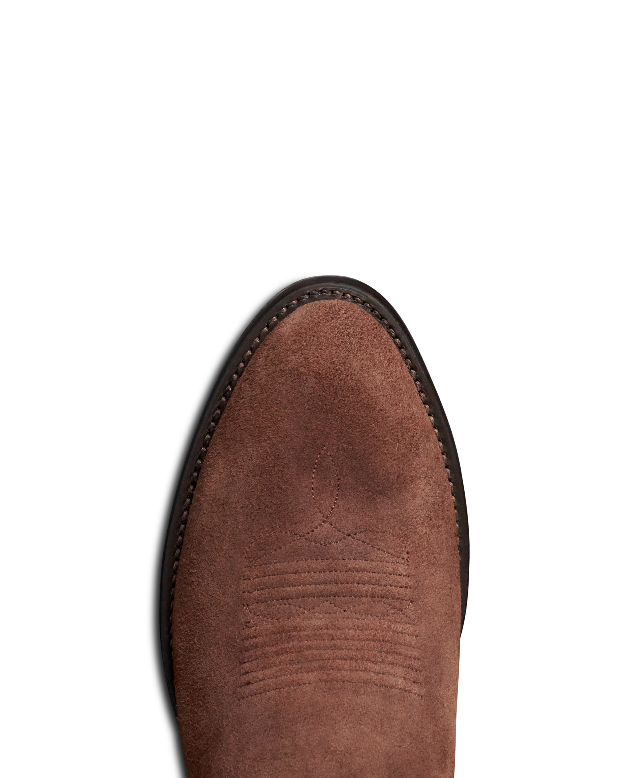 The Johnny - Earth Roughout