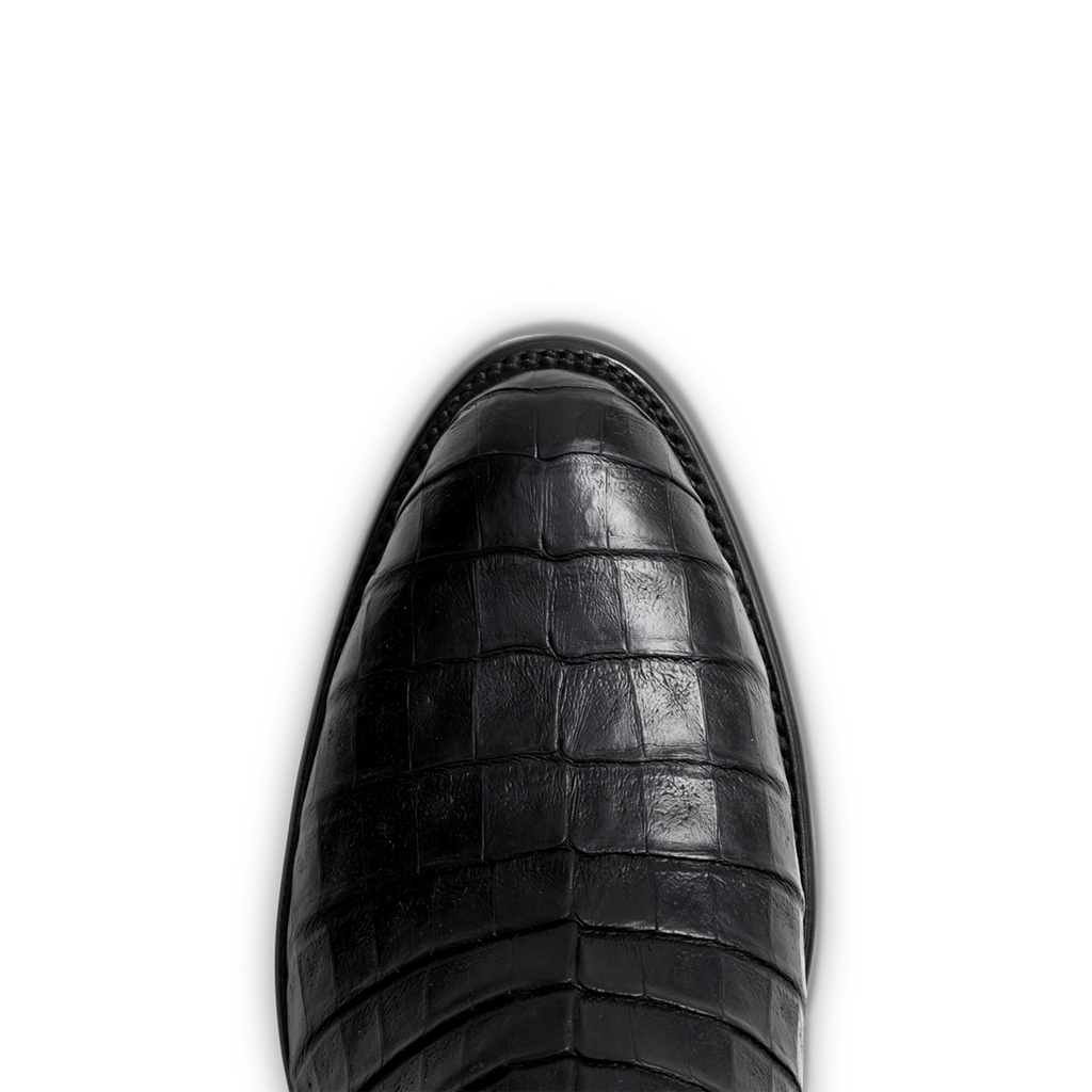 The Cole - Midnight Caiman