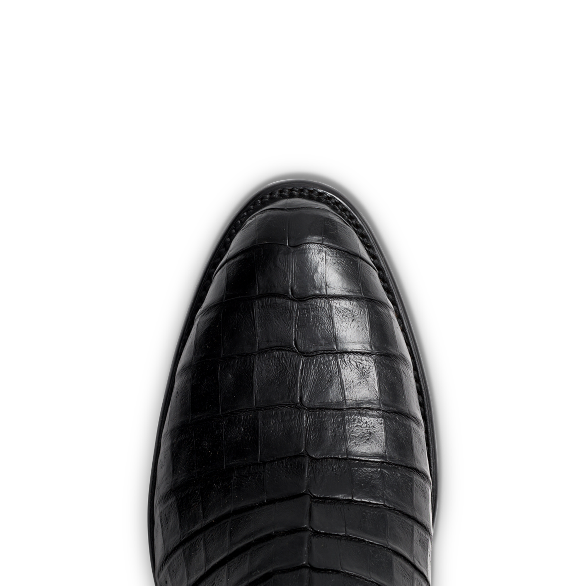 The Cole - Midnight Caiman