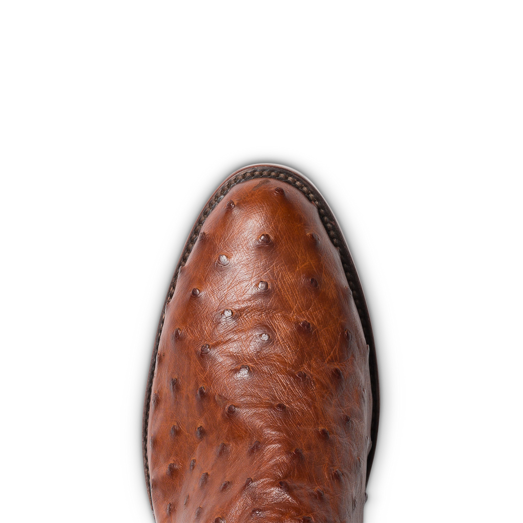 The Duke - Pecan Ostrich