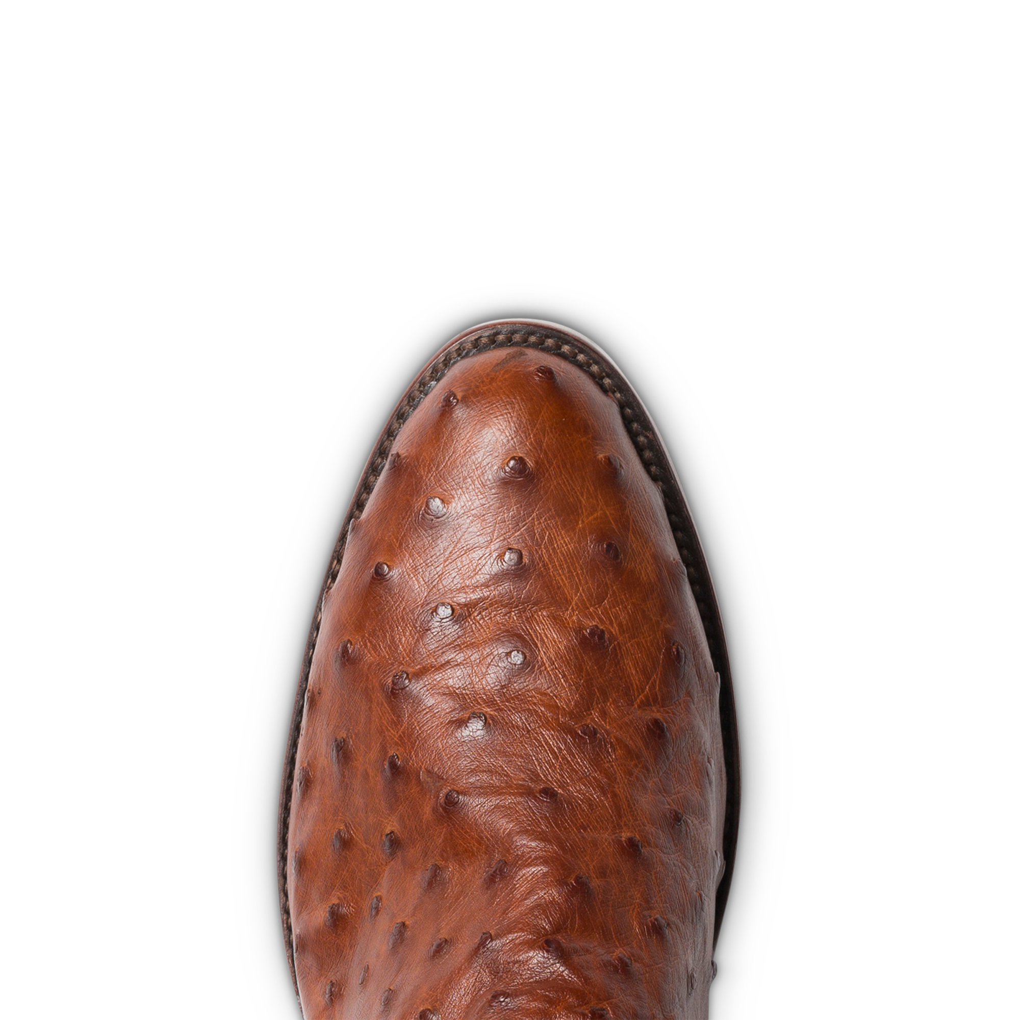 The Duke - Pecan Ostrich